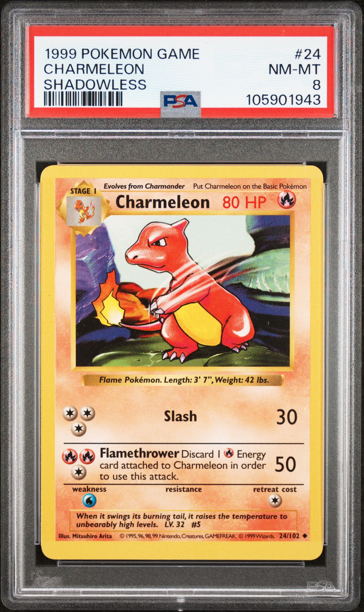 CHARMELEON 24/102 [Shadowless]  POKEMON GAME SHADOWLESS PSA8 NM-MT 8 PSA population 1084 <a href=https://www.psacard.com/cert/105901943/psa>https://www.psacard.com/cert/105901943/psa</a>