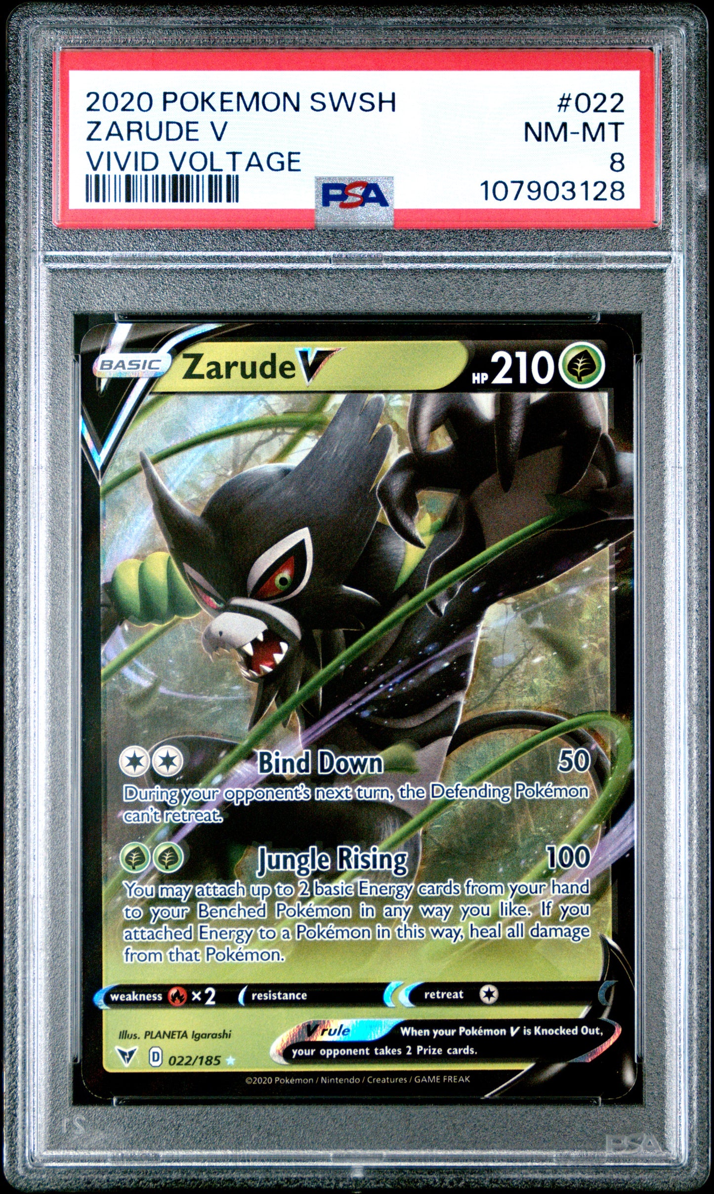 ZARUDE V 22/185 Common POKEMON SWORD & SHIELD VIVID VOLTAGE VIVID VOLTAGE PSA8 NM-MT 8 PSA population 40 <a href=https://www.psacard.com/cert/107903128/psa>https://www.psacard.com/cert/107903128/psa</a>