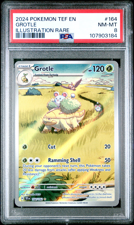 GROTLE 164/162 Common POKEMON TEF EN-TEMPORAL FORCES ILLUSTRATION RARE PSA8 NM-MT 8 PSA population 95 <a href=https://www.psacard.com/cert/107903184/psa>https://www.psacard.com/cert/107903184/psa</a>