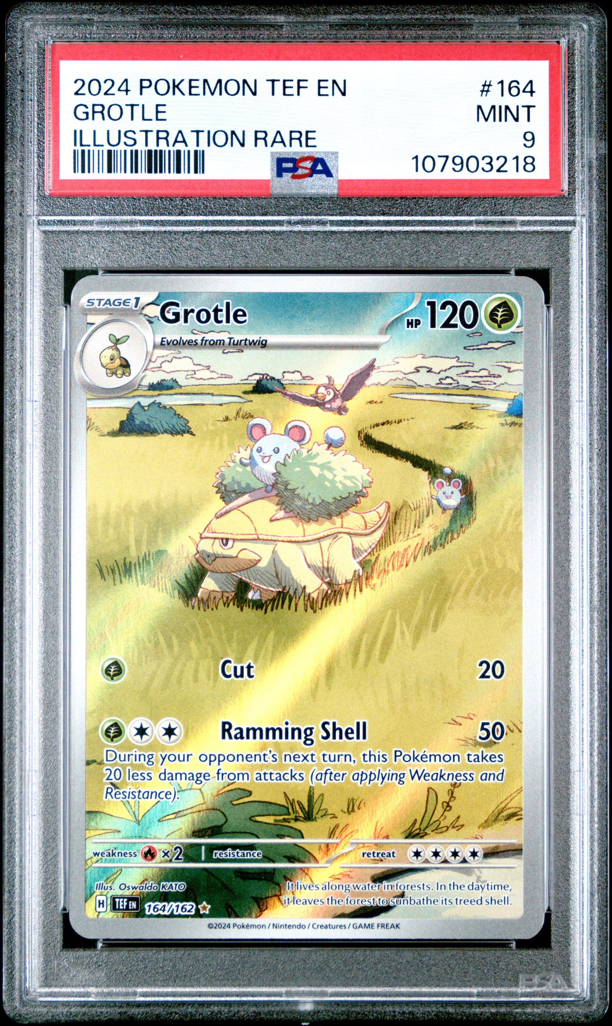 GROTLE 164/162 Common POKEMON TEF EN-TEMPORAL FORCES ILLUSTRATION RARE PSA9 MINT 9 PSA population 698 <a href=https://www.psacard.com/cert/107903218/psa>https://www.psacard.com/cert/107903218/psa</a>