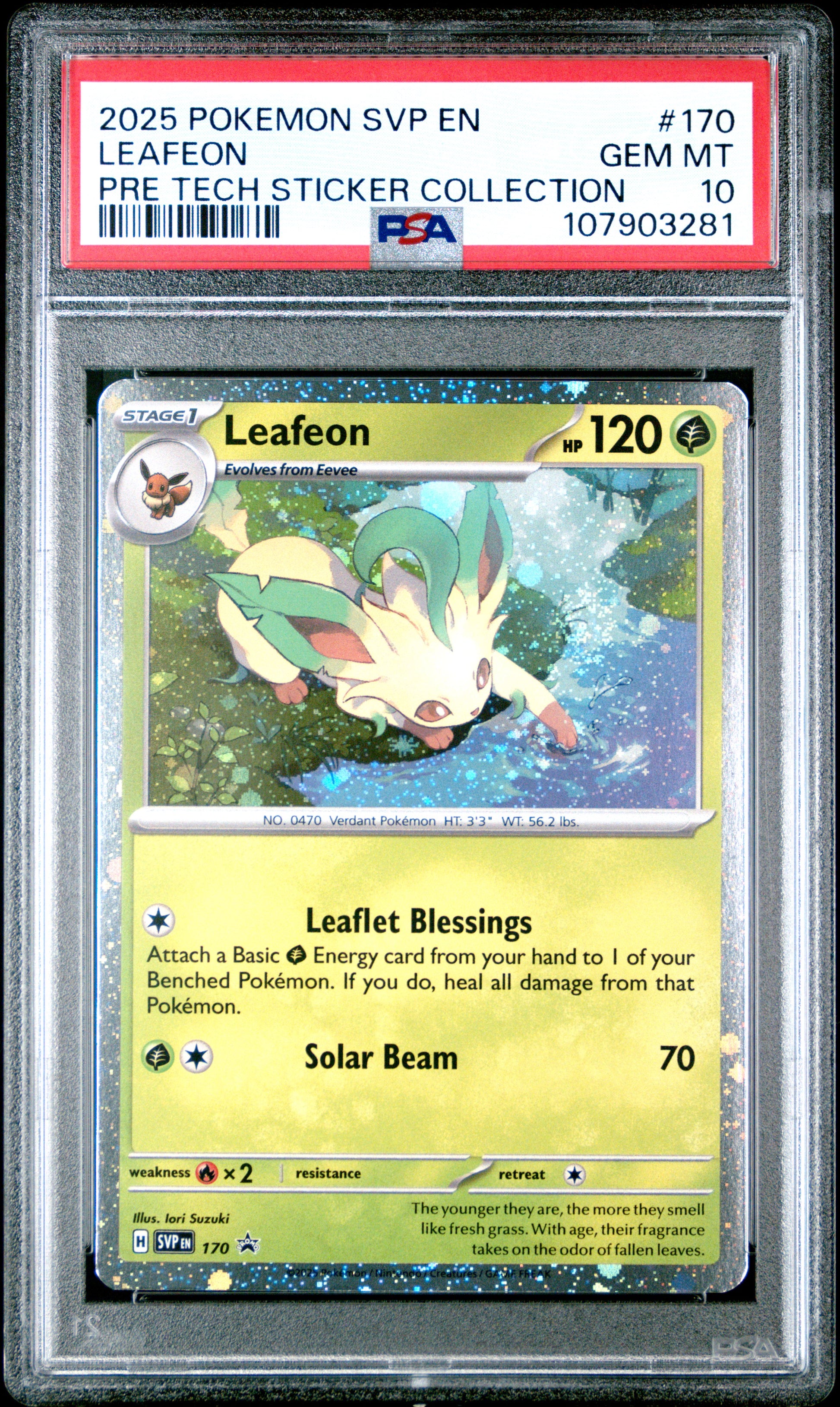 LEAFEON 170/SVP Common POKEMON SVP EN-SV BLACK STAR PROMO PRE TECH STICKER COLLECTION PSA10 GEM MT 10 PSA population 310 <a href=https://www.psacard.com/cert/107903281/psa>https://www.psacard.com/cert/107903281/psa</a>