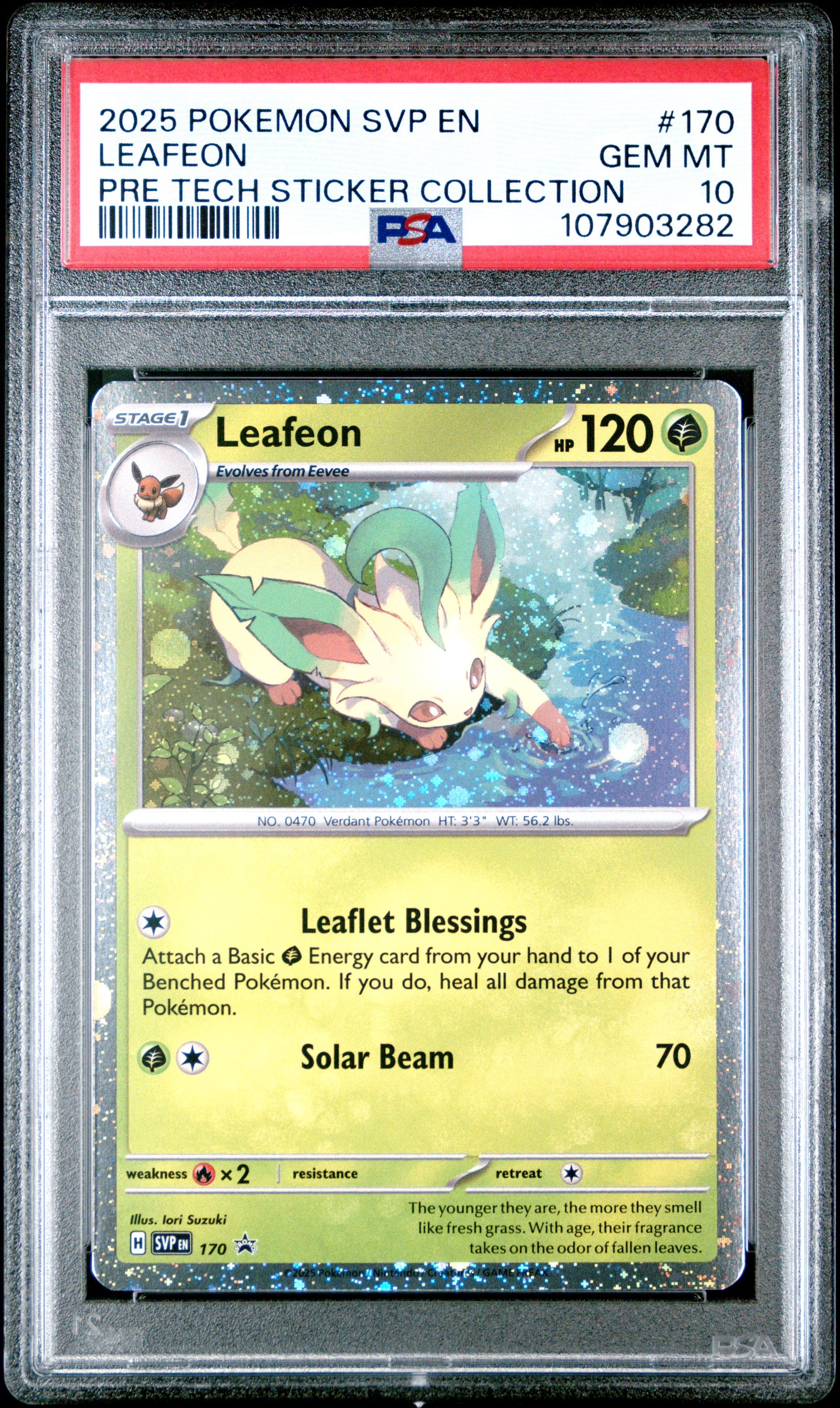 LEAFEON 170/SVP Common POKEMON SVP EN-SV BLACK STAR PROMO PRE TECH STICKER COLLECTION PSA10 GEM MT 10 PSA population 310 <a href=https://www.psacard.com/cert/107903282/psa>https://www.psacard.com/cert/107903282/psa</a>