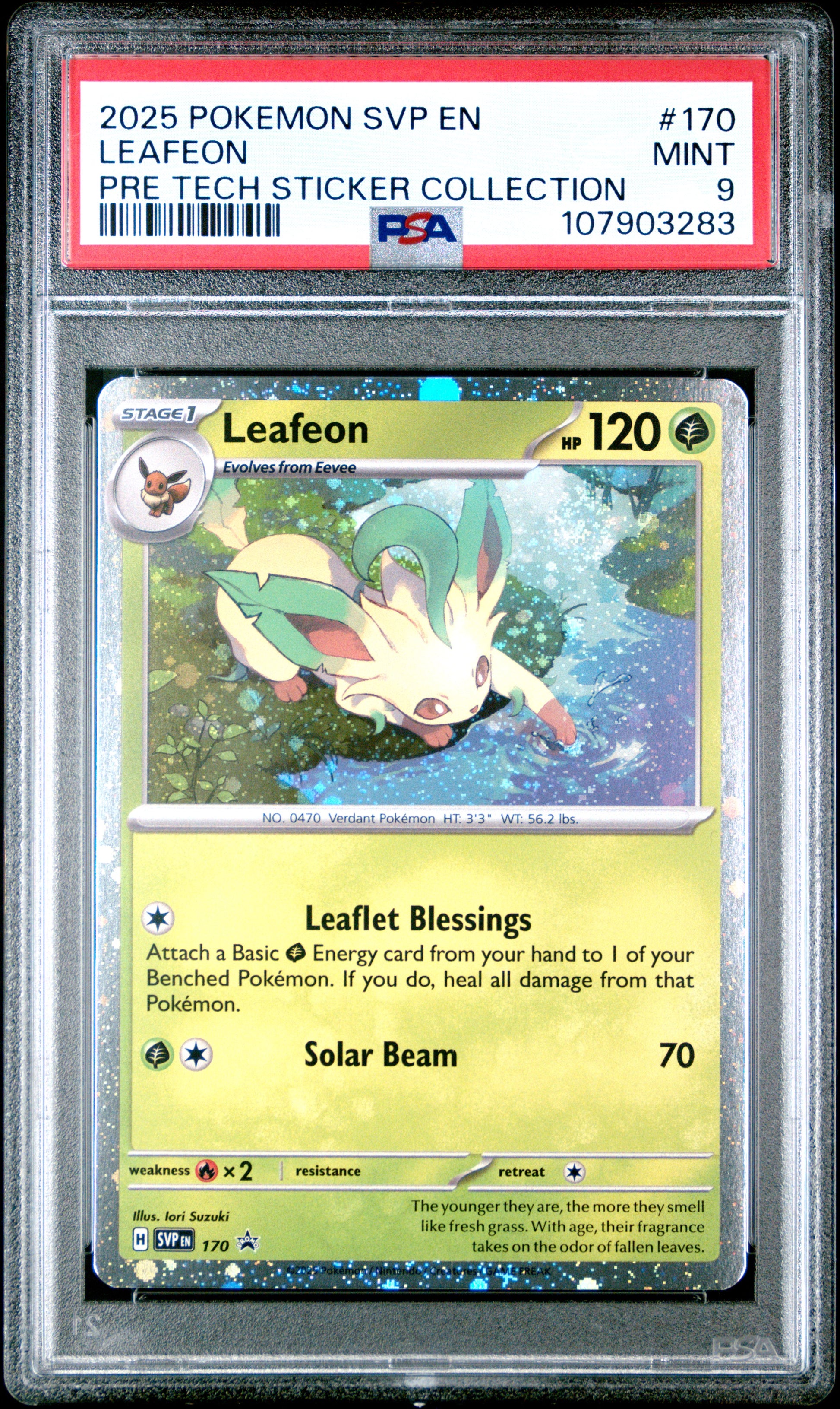 LEAFEON 170/SVP Common POKEMON SVP EN-SV BLACK STAR PROMO PRE TECH STICKER COLLECTION PSA9 MINT 9 PSA population 354 <a href=https://www.psacard.com/cert/107903283/psa>https://www.psacard.com/cert/107903283/psa</a>