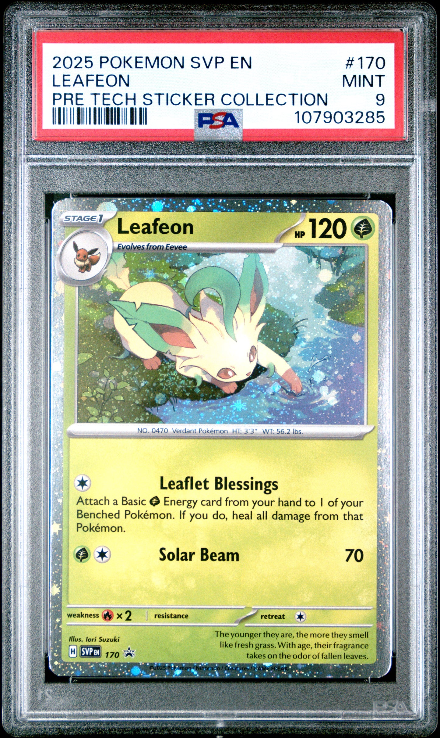 LEAFEON 170/SVP Common POKEMON SVP EN-SV BLACK STAR PROMO PRE TECH STICKER COLLECTION PSA9 MINT 9 PSA population 354 <a href=https://www.psacard.com/cert/107903285/psa>https://www.psacard.com/cert/107903285/psa</a>