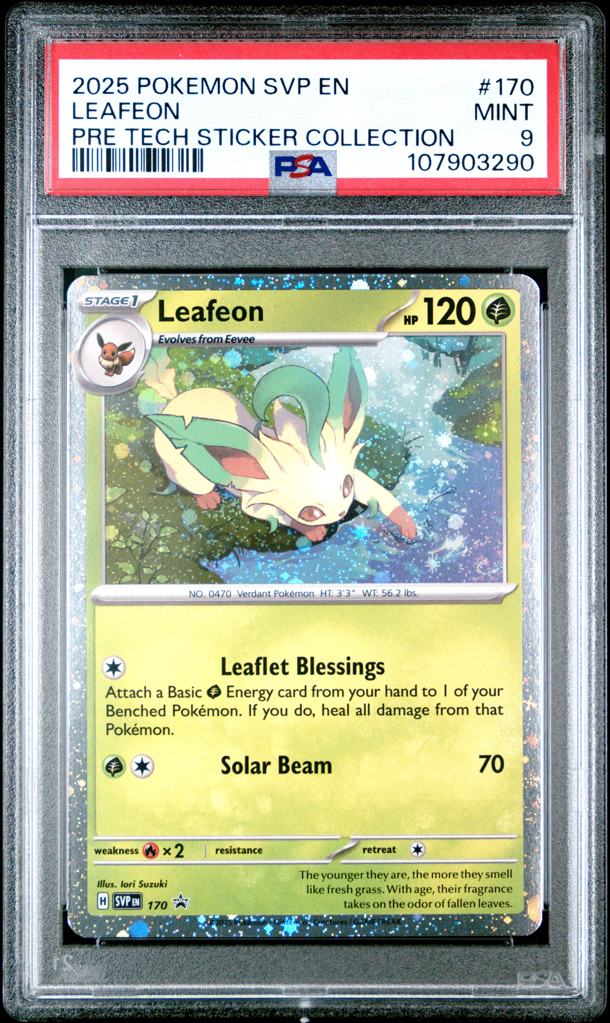 LEAFEON 170/SVP Common POKEMON SVP EN-SV BLACK STAR PROMO PRE TECH STICKER COLLECTION PSA9 MINT 9 PSA population 354 <a href=https://www.psacard.com/cert/107903290/psa>https://www.psacard.com/cert/107903290/psa</a>