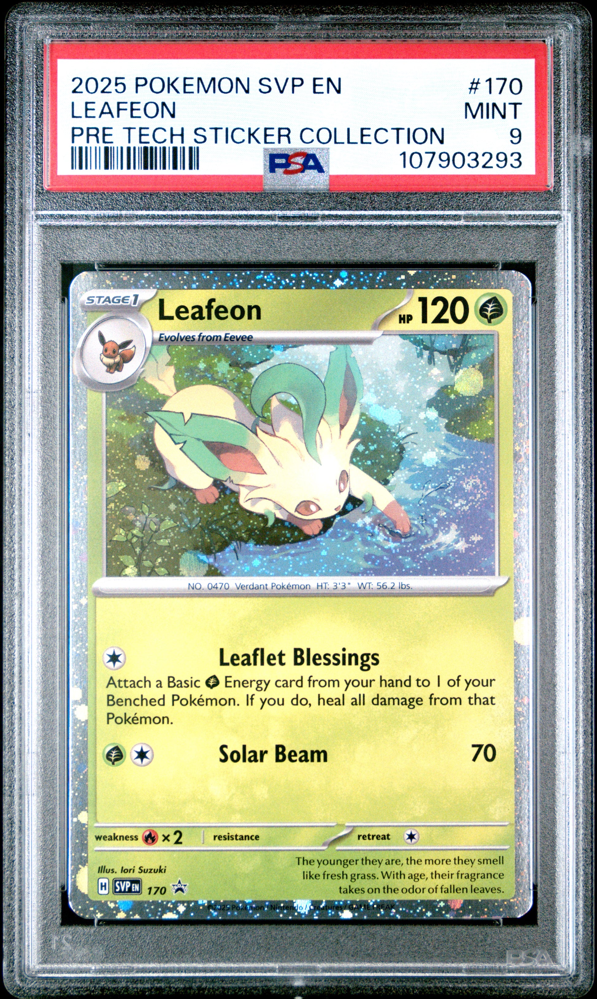 LEAFEON 170/SVP Common POKEMON SVP EN-SV BLACK STAR PROMO PRE TECH STICKER COLLECTION PSA9 MINT 9 PSA population 354 <a href=https://www.psacard.com/cert/107903293/psa>https://www.psacard.com/cert/107903293/psa</a>