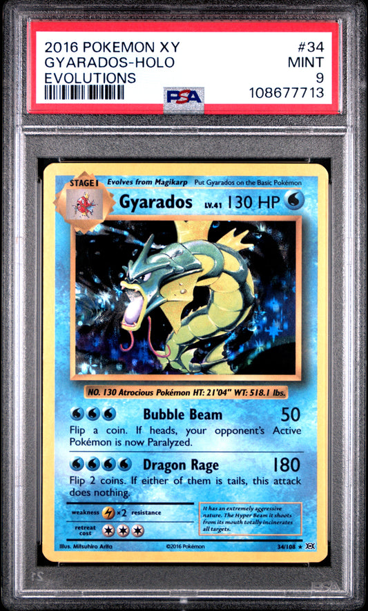 GYARADOS-HOLO 34/108 Common POKEMON XY EVOLUTIONS EVOLUTIONS PSA9 MINT 9 PSA population 3781 <a href=https://www.psacard.com/cert/108677713/psa>https://www.psacard.com/cert/108677713/psa</a>