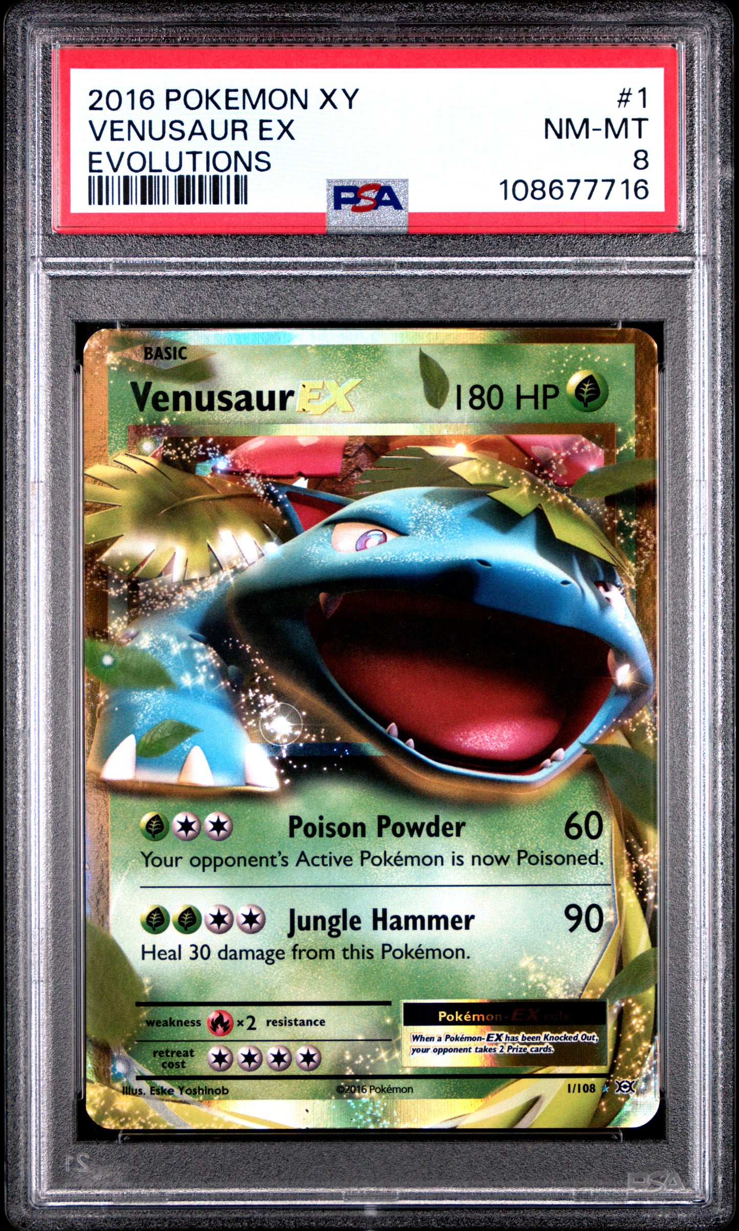 VENUSAUR EX 1/108 Common POKEMON XY EVOLUTIONS EVOLUTIONS PSA8 NM-MT 8 PSA population 552 <a href=https://www.psacard.com/cert/108677716/psa>https://www.psacard.com/cert/108677716/psa</a>