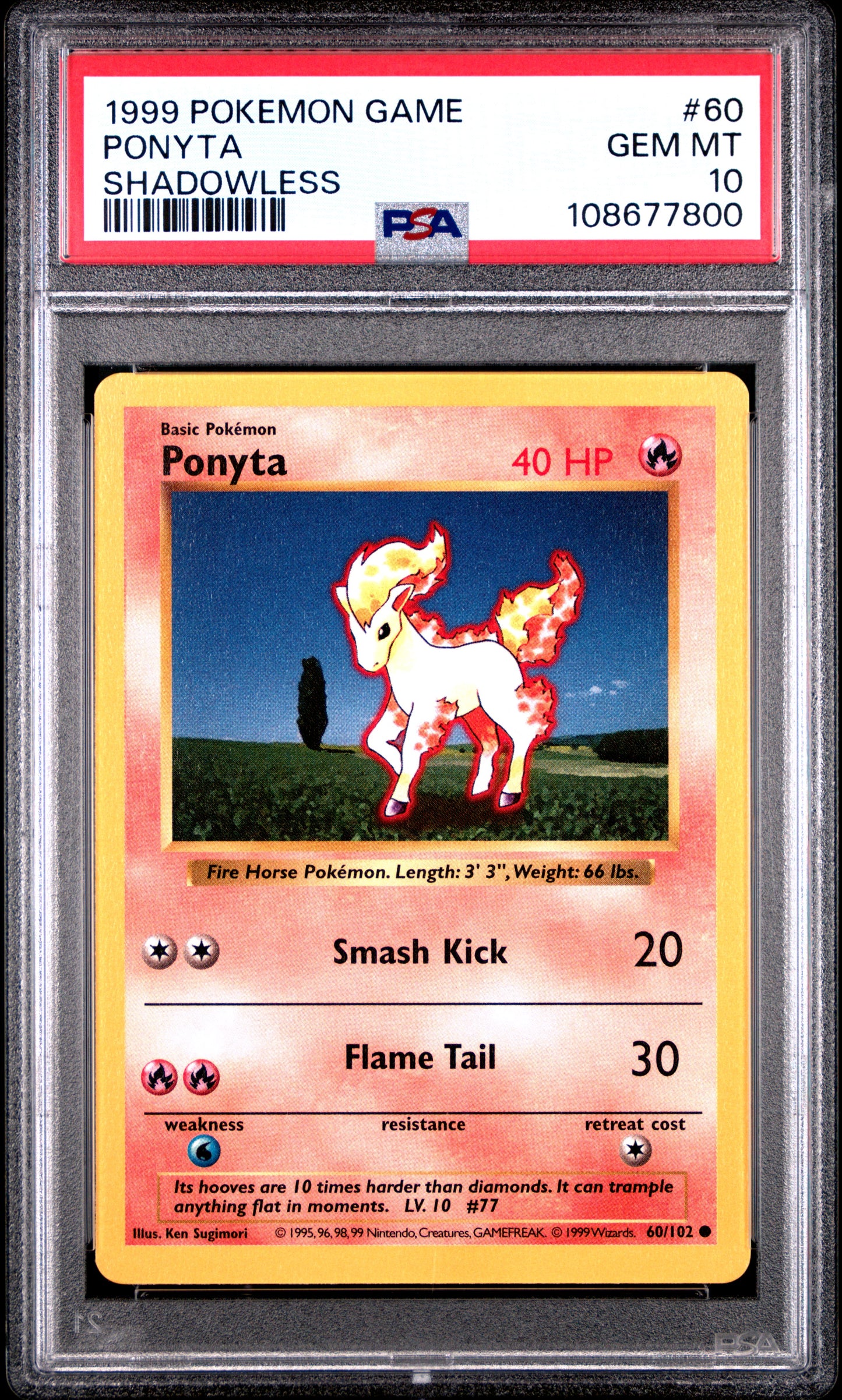 PONYTA 60/102 [Shadowless] POKEMON GAME SHADOWLESS PSA10 GEM MT 10 PSA population 439 <a href=https://www.psacard.com/cert/108677800/psa>https://www.psacard.com/cert/108677800/psa</a>