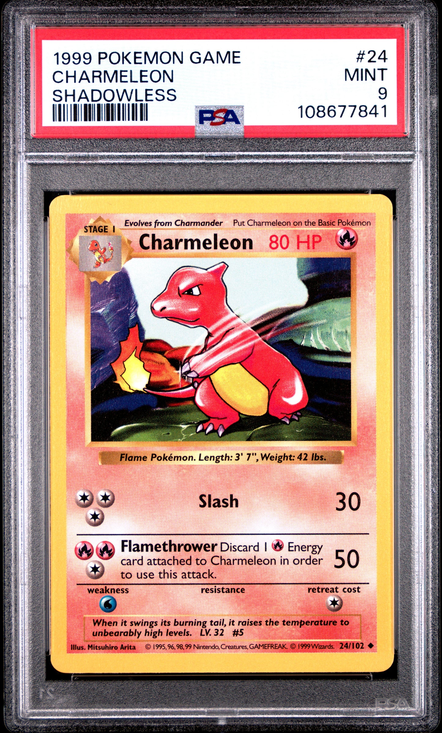 CHARMELEON 24/102 [Shadowless]  POKEMON GAME SHADOWLESS PSA9 MINT 9 PSA population 1466 <a href=https://www.psacard.com/cert/108677841/psa>https://www.psacard.com/cert/108677841/psa</a>