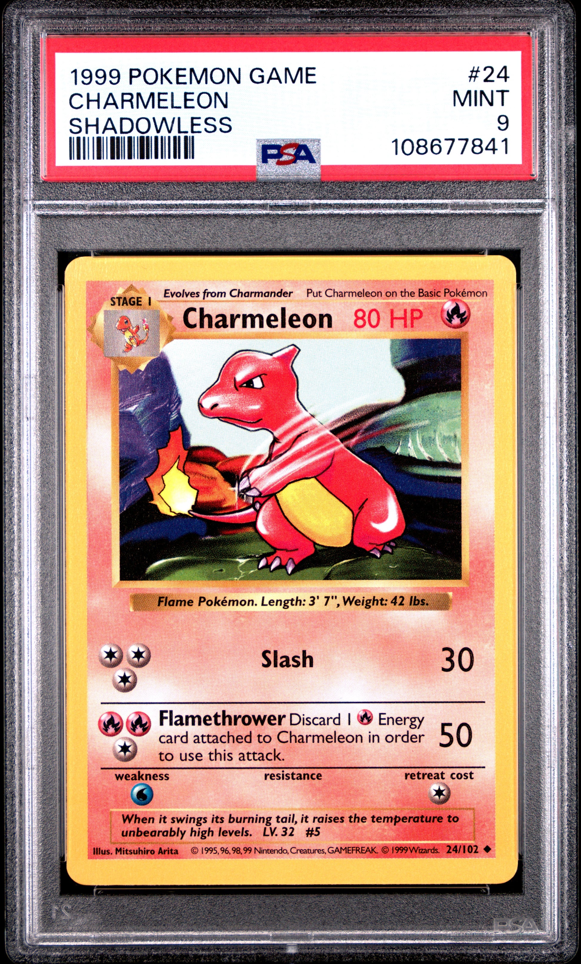 CHARMELEON 24/102 [Shadowless]  POKEMON GAME SHADOWLESS PSA9 MINT 9 PSA population 1466 <a href=https://www.psacard.com/cert/108677841/psa>https://www.psacard.com/cert/108677841/psa</a>