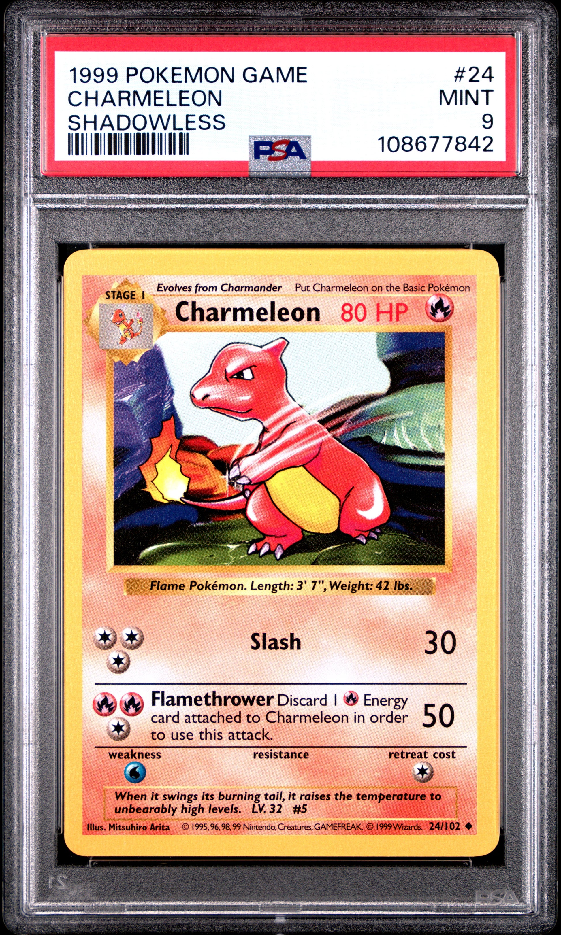 CHARMELEON 24/102 [Shadowless]  POKEMON GAME SHADOWLESS PSA9 MINT 9 PSA population 1466 <a href=https://www.psacard.com/cert/108677842/psa>https://www.psacard.com/cert/108677842/psa</a>