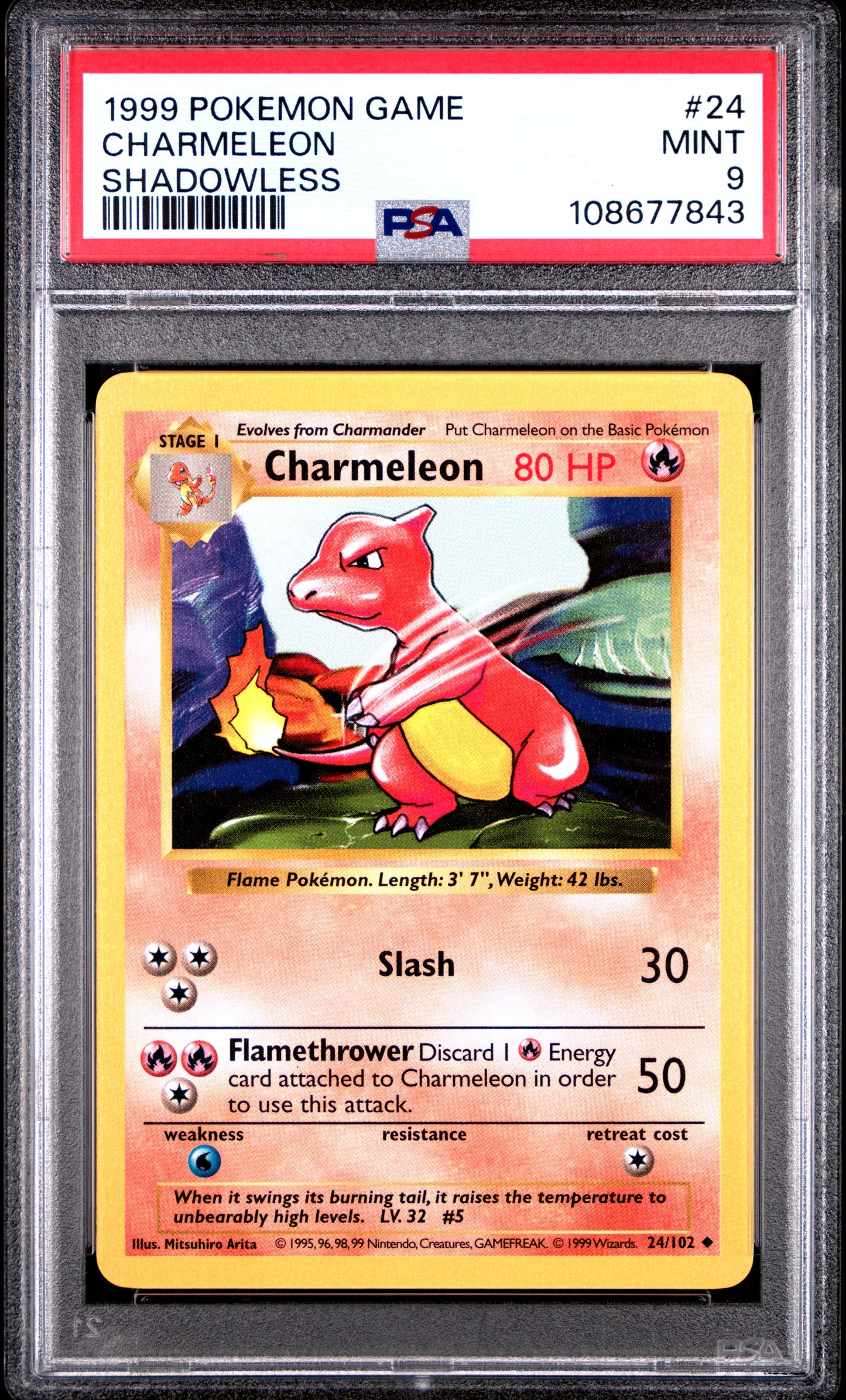 CHARMELEON 24/102 [Shadowless]  POKEMON GAME SHADOWLESS PSA9 MINT 9 PSA population 1466 <a href=https://www.psacard.com/cert/108677843/psa>https://www.psacard.com/cert/108677843/psa</a>