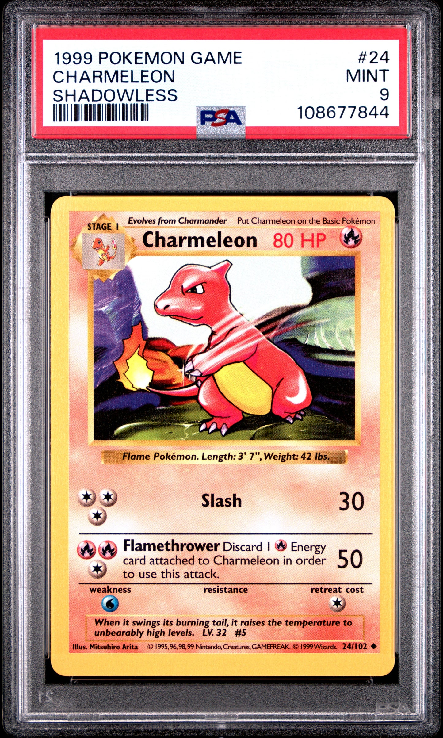 CHARMELEON 24/102 [Shadowless]  POKEMON GAME SHADOWLESS PSA9 MINT 9 PSA population 1466 <a href=https://www.psacard.com/cert/108677844/psa>https://www.psacard.com/cert/108677844/psa</a>