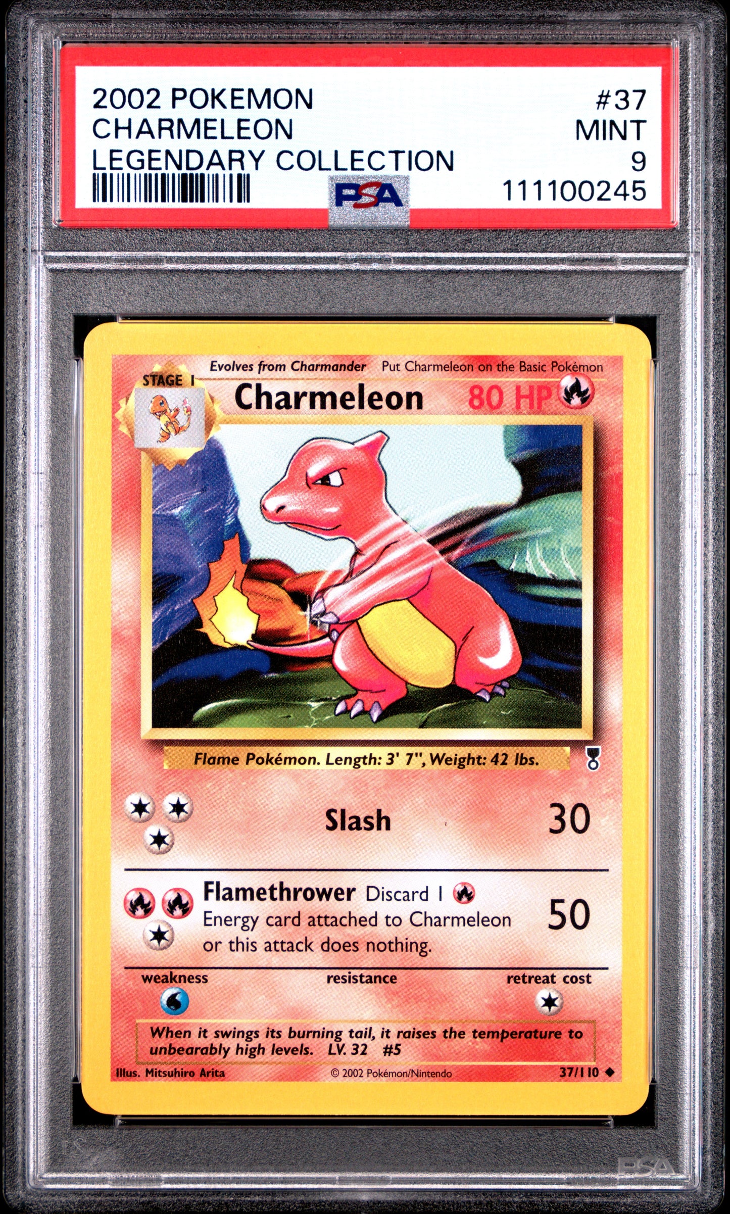 CHARMELEON 37/110 Common POKEMON LEGENDARY COLLECTION LEGENDARY COLLECTION PSA9 MINT 9 PSA population 105 <a href=https://www.psacard.com/cert/111100245/psa>https://www.psacard.com/cert/111100245/psa</a>