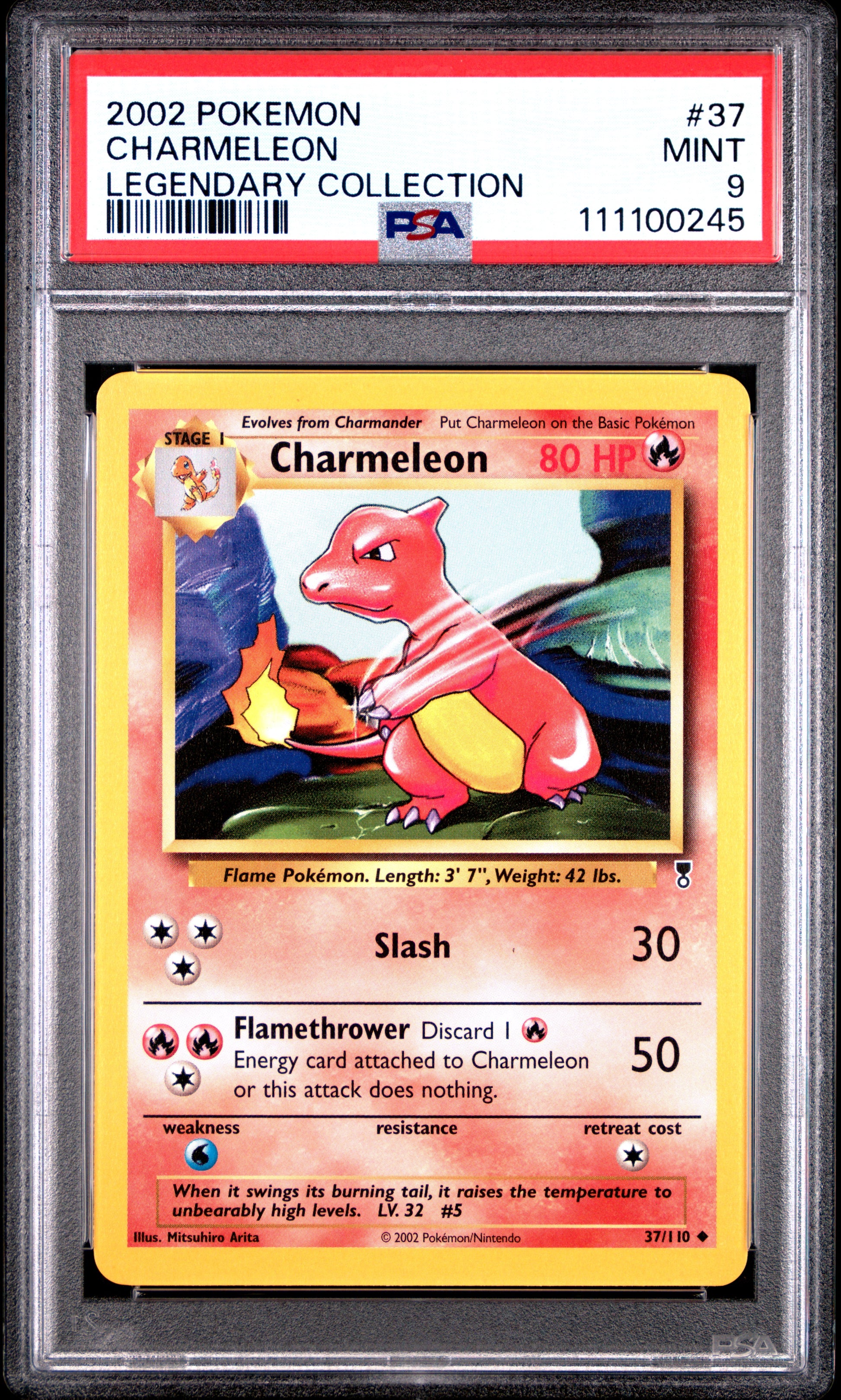 CHARMELEON 37/110 Common POKEMON LEGENDARY COLLECTION LEGENDARY COLLECTION PSA9 MINT 9 PSA population 105 <a href=https://www.psacard.com/cert/111100245/psa>https://www.psacard.com/cert/111100245/psa</a>