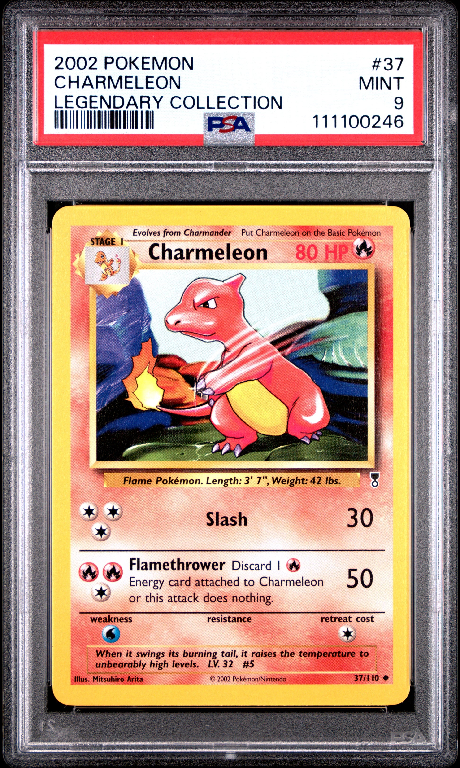 CHARMELEON 37/110 Common POKEMON LEGENDARY COLLECTION LEGENDARY COLLECTION PSA9 MINT 9 PSA population 105 <a href=https://www.psacard.com/cert/111100246/psa>https://www.psacard.com/cert/111100246/psa</a>