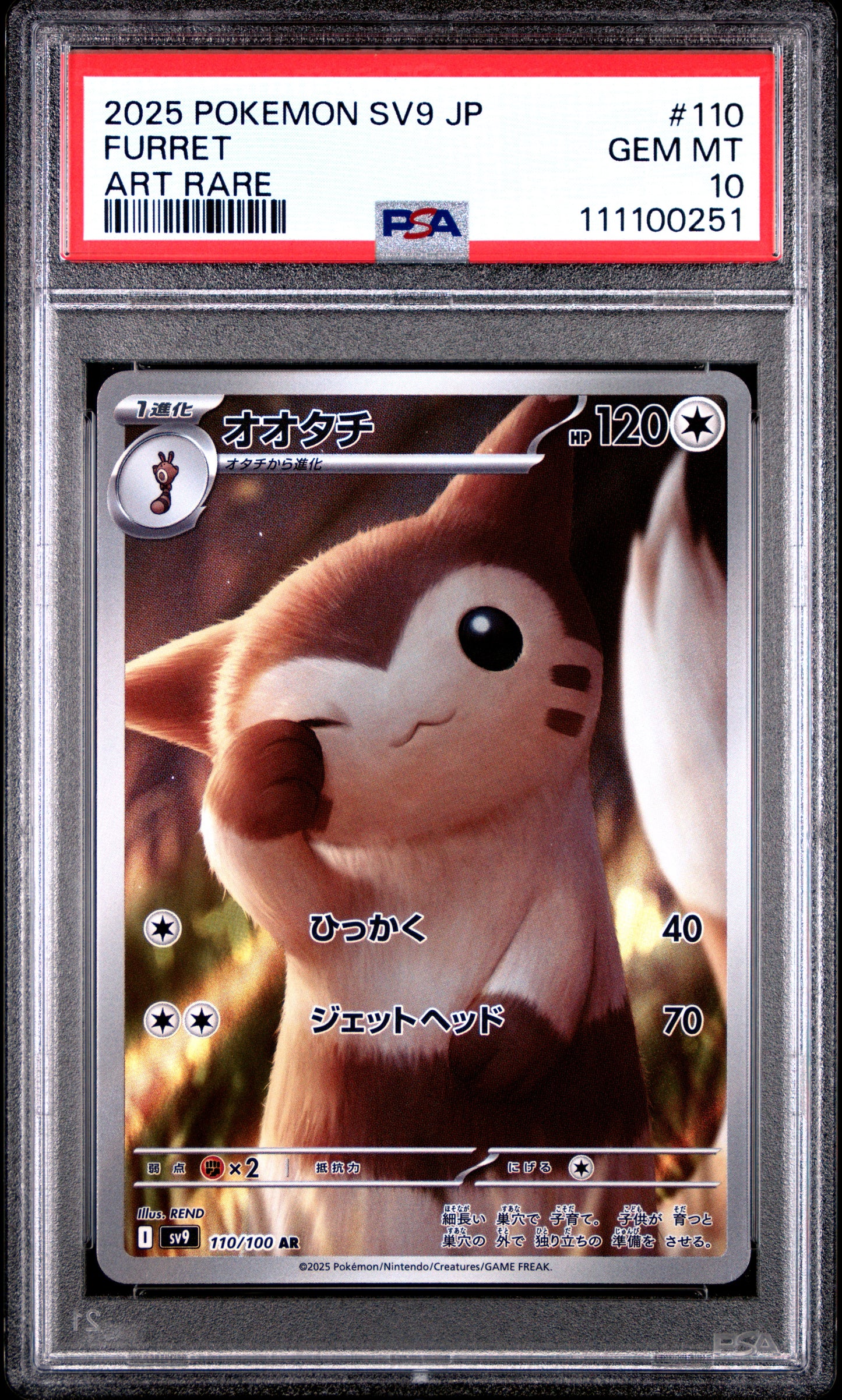 FURRET 110/100 Common POKEMON JAPANESE SV9-BATTLE PARTNERS ART RARE PSA10 GEM MT 10 PSA population 2197 <a href=https://www.psacard.com/cert/111100251/psa>https://www.psacard.com/cert/111100251/psa</a>