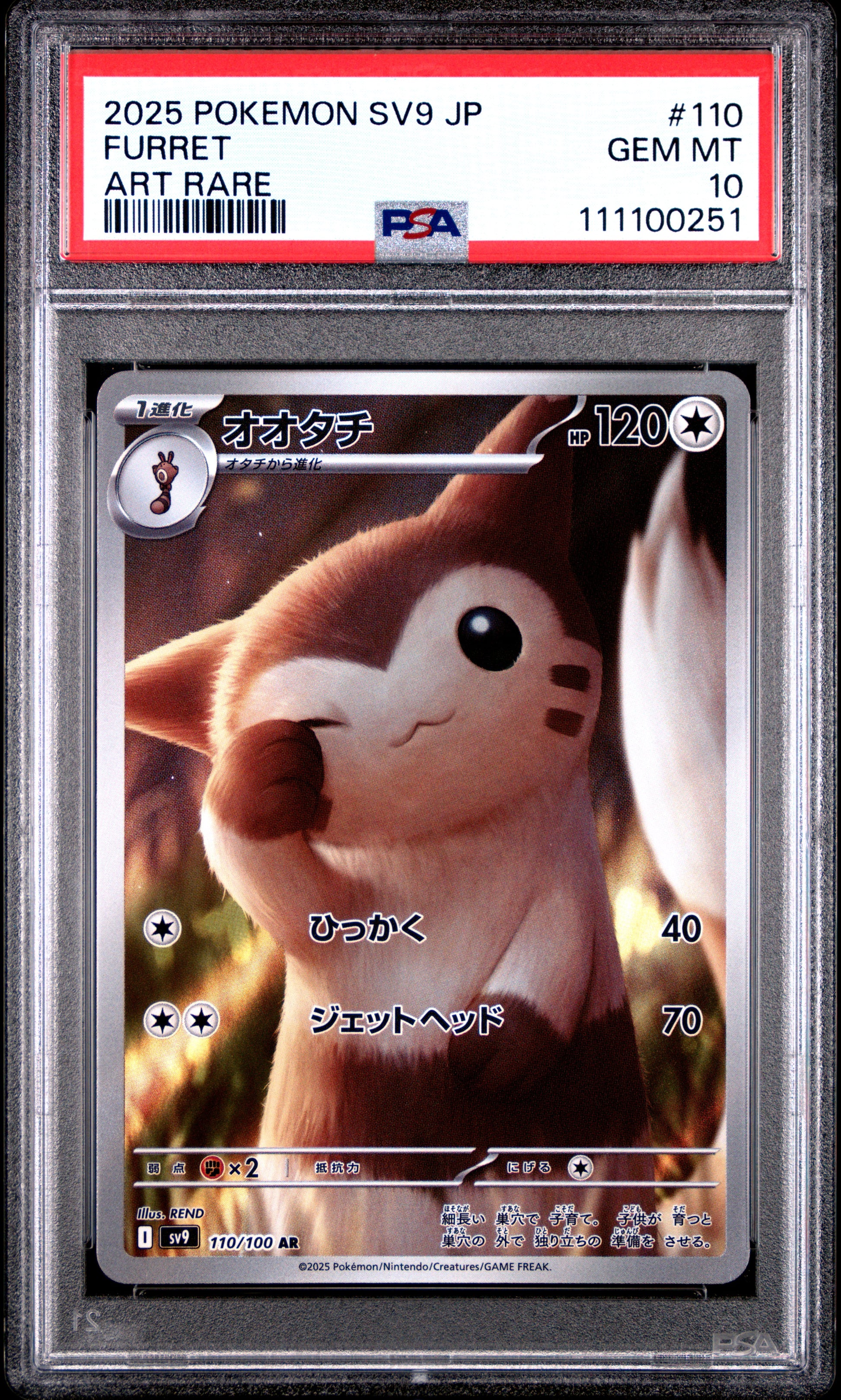 FURRET 110/100 Common POKEMON JAPANESE SV9-BATTLE PARTNERS ART RARE PSA10 GEM MT 10 PSA population 2197 <a href=https://www.psacard.com/cert/111100251/psa>https://www.psacard.com/cert/111100251/psa</a>