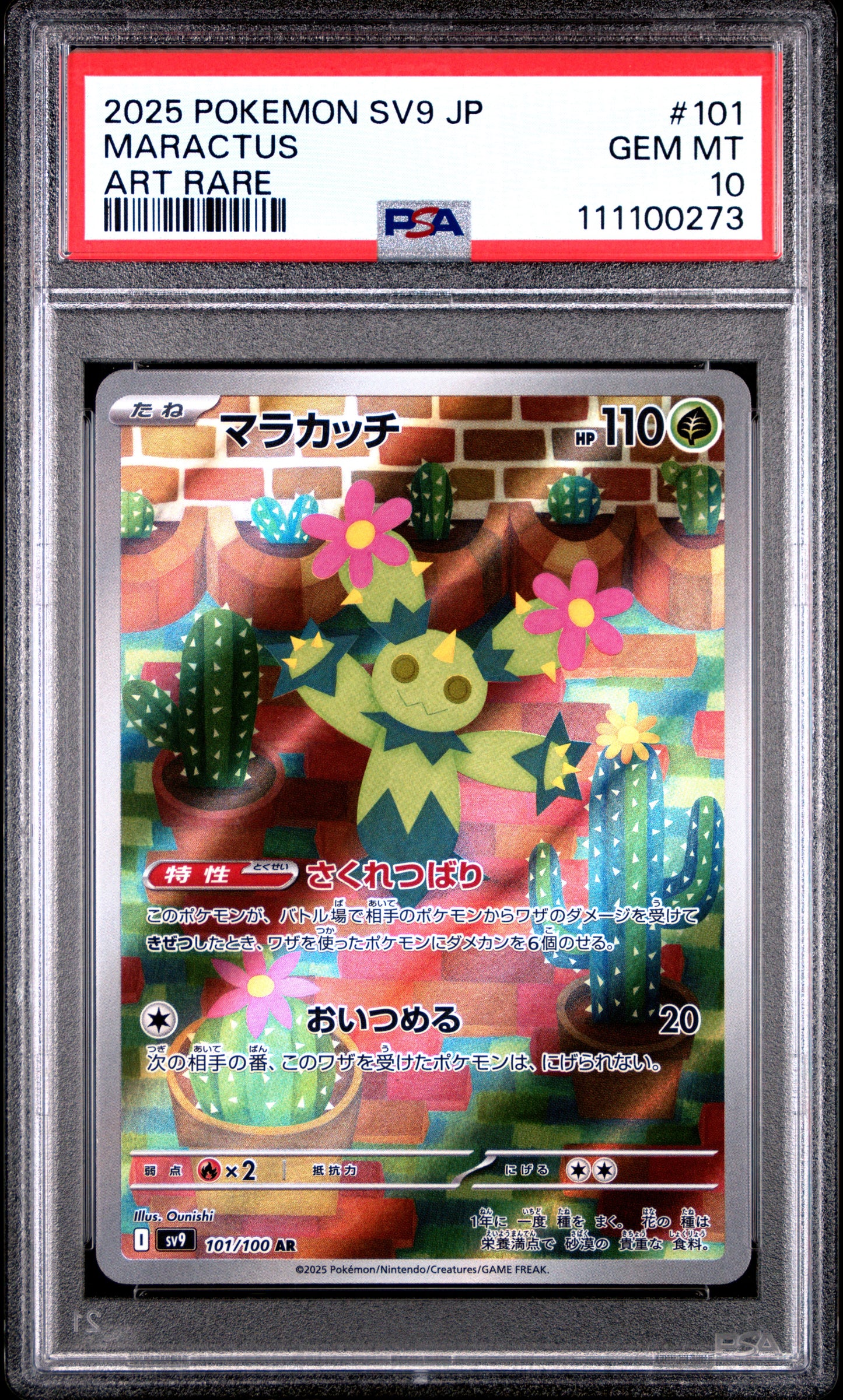 MARACTUS 101/100 Common POKEMON JAPANESE SV9-BATTLE PARTNERS ART RARE PSA10 GEM MT 10 PSA population 1129 <a href=https://www.psacard.com/cert/111100273/psa>https://www.psacard.com/cert/111100273/psa</a>