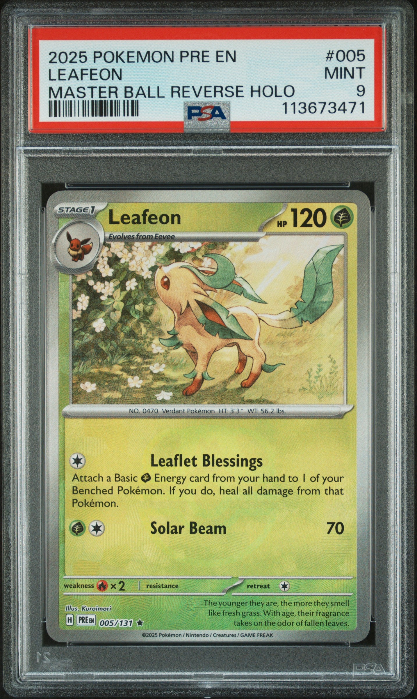 LEAFEON 5/131 [Master Ball]  POKEMON PRE EN-PRISMATIC EVOLUTIONS MASTER BALL REVERSE HOLO PSA9 MINT 9 PSA population 625 <a href=https://www.psacard.com/cert/113673471/psa>https://www.psacard.com/cert/113673471/psa</a>
