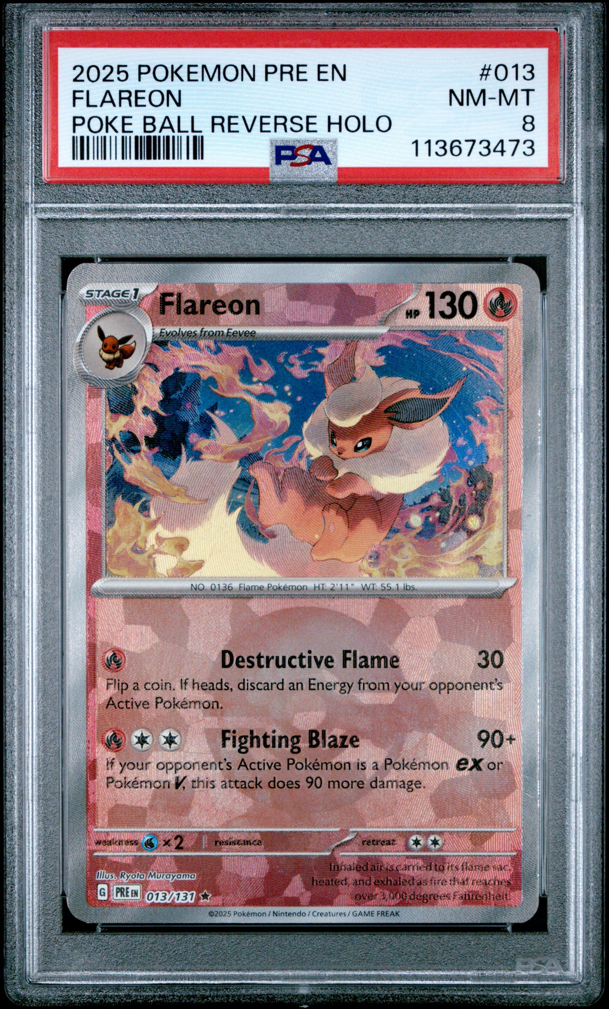 FLAREON 13/131 [Poke Ball] POKEMON PRE EN-PRISMATIC EVOLUTIONS POKE BALL REVERSE HOLO PSA8 NM-MT 8 PSA population 81 <a href=https://www.psacard.com/cert/113673473/psa>https://www.psacard.com/cert/113673473/psa</a>