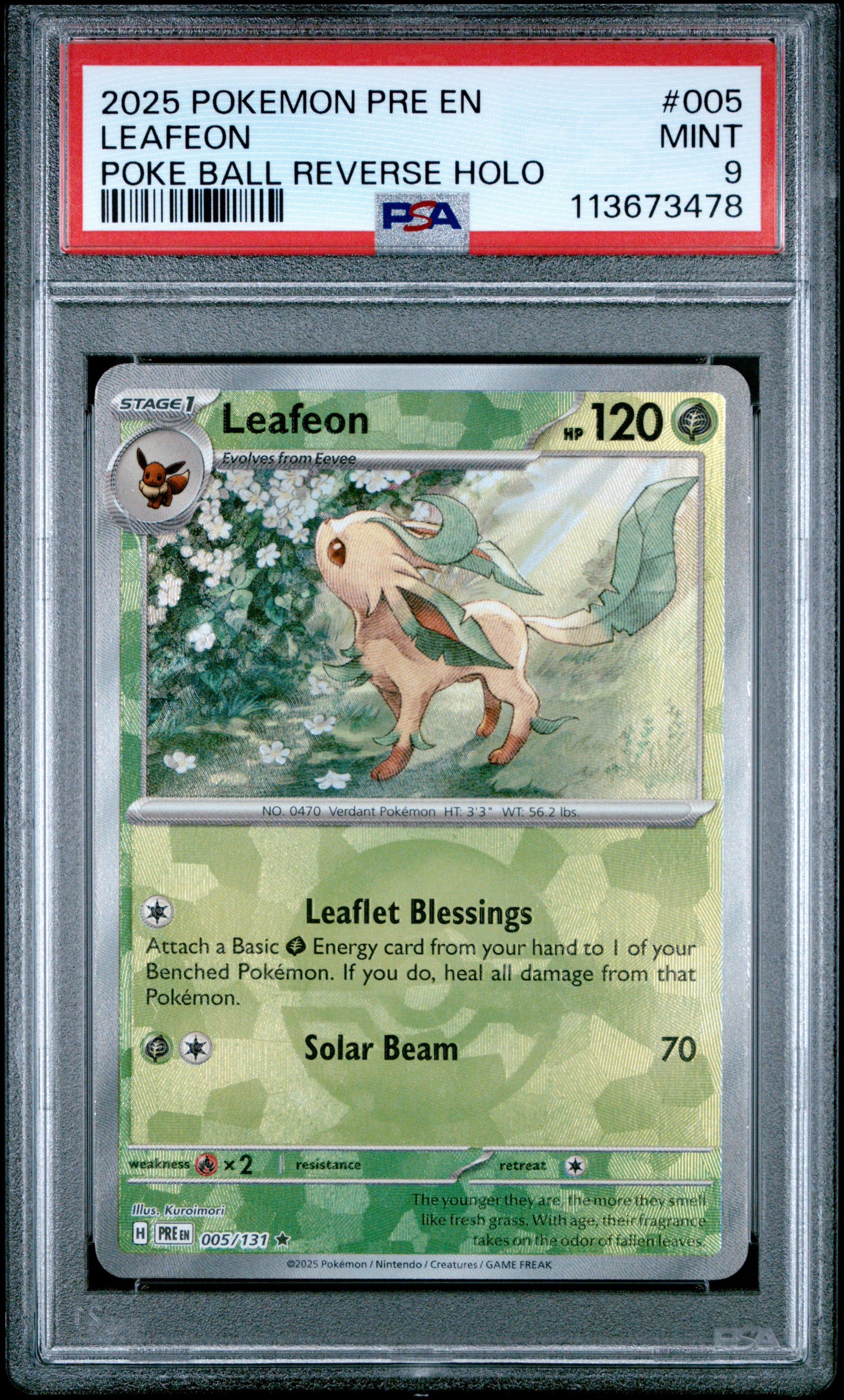 LEAFEON 5/131 [Poke Ball] POKEMON PRE EN-PRISMATIC EVOLUTIONS POKE BALL REVERSE HOLO PSA9 MINT 9 PSA population 277 <a href=https://www.psacard.com/cert/113673478/psa>https://www.psacard.com/cert/113673478/psa</a>