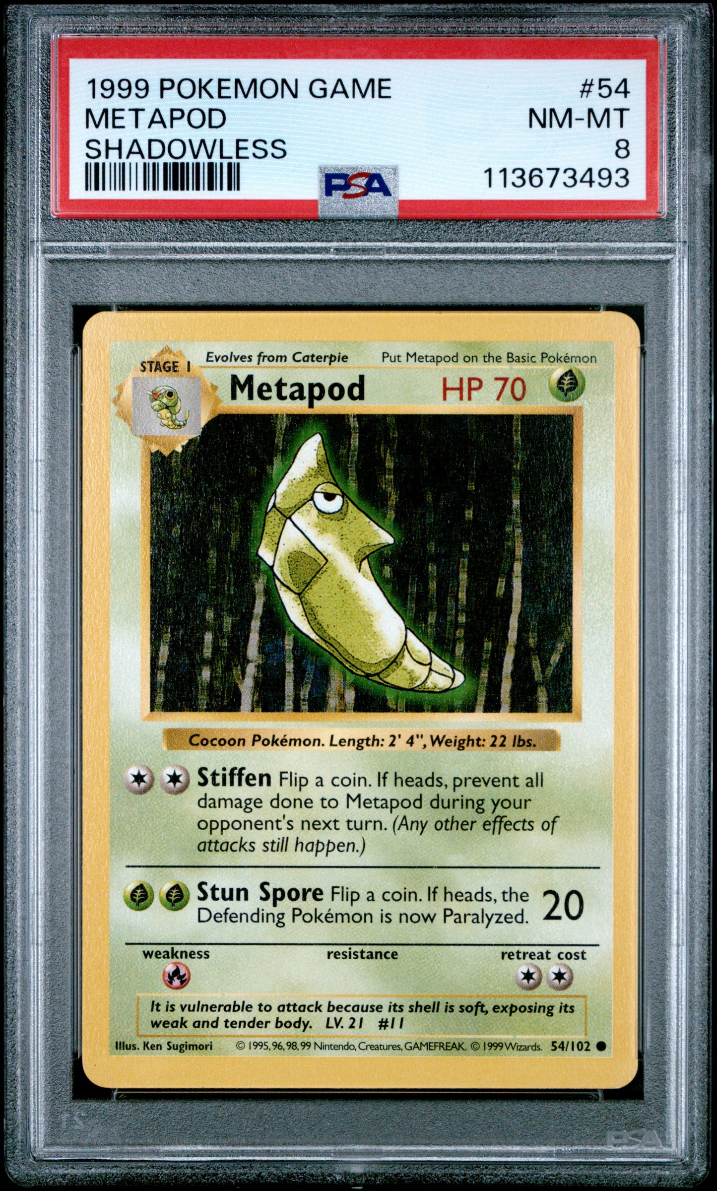 METAPOD 54/102 [Shadowless]  POKEMON GAME SHADOWLESS PSA8 NM-MT 8 PSA population 139 <a href=https://www.psacard.com/cert/113673493/psa>https://www.psacard.com/cert/113673493/psa</a>