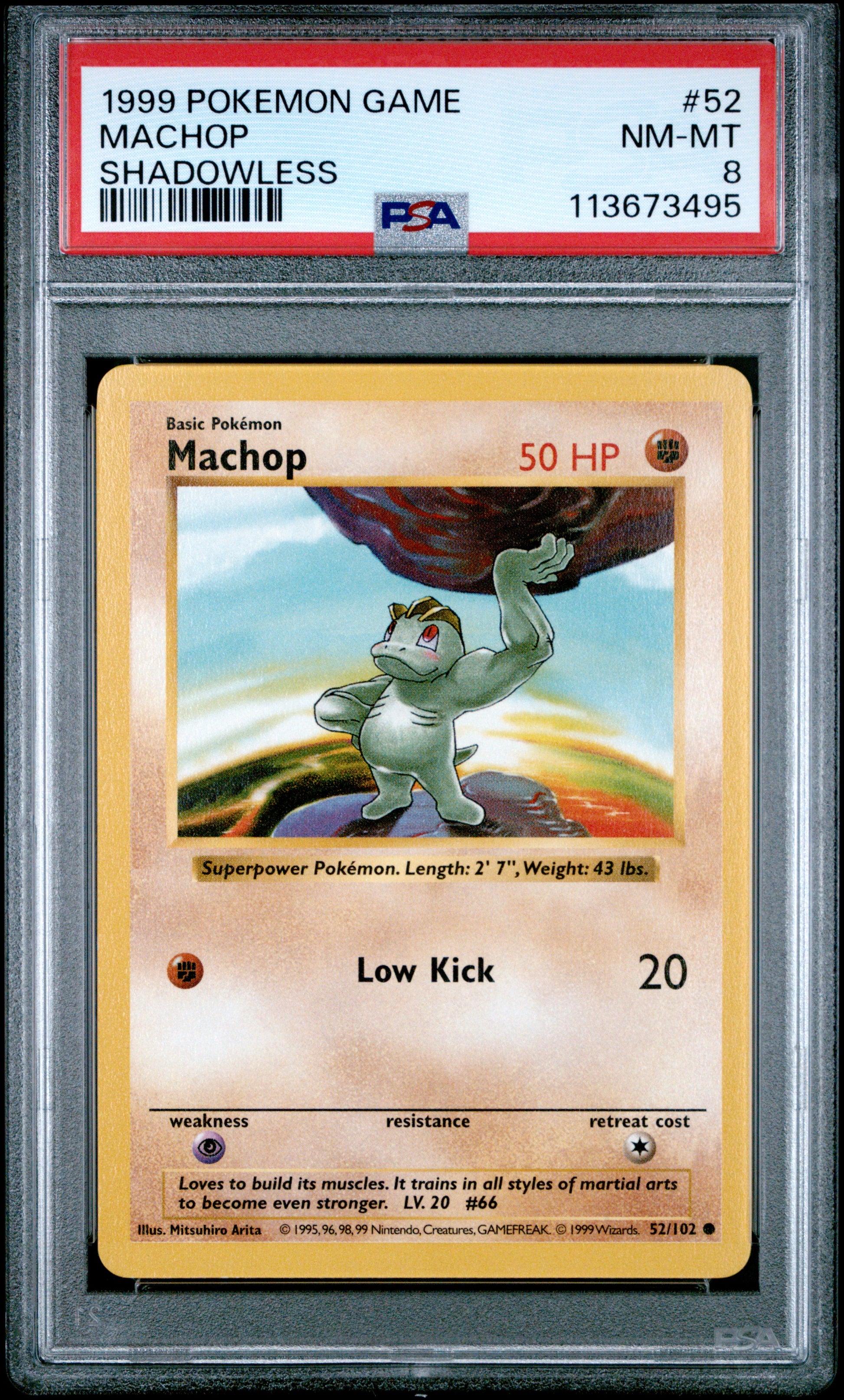 MACHOP 52/102 [Shadowless]  POKEMON GAME SHADOWLESS PSA8 NM-MT 8 PSA population 362 <a href=https://www.psacard.com/cert/113673495/psa>https://www.psacard.com/cert/113673495/psa</a>