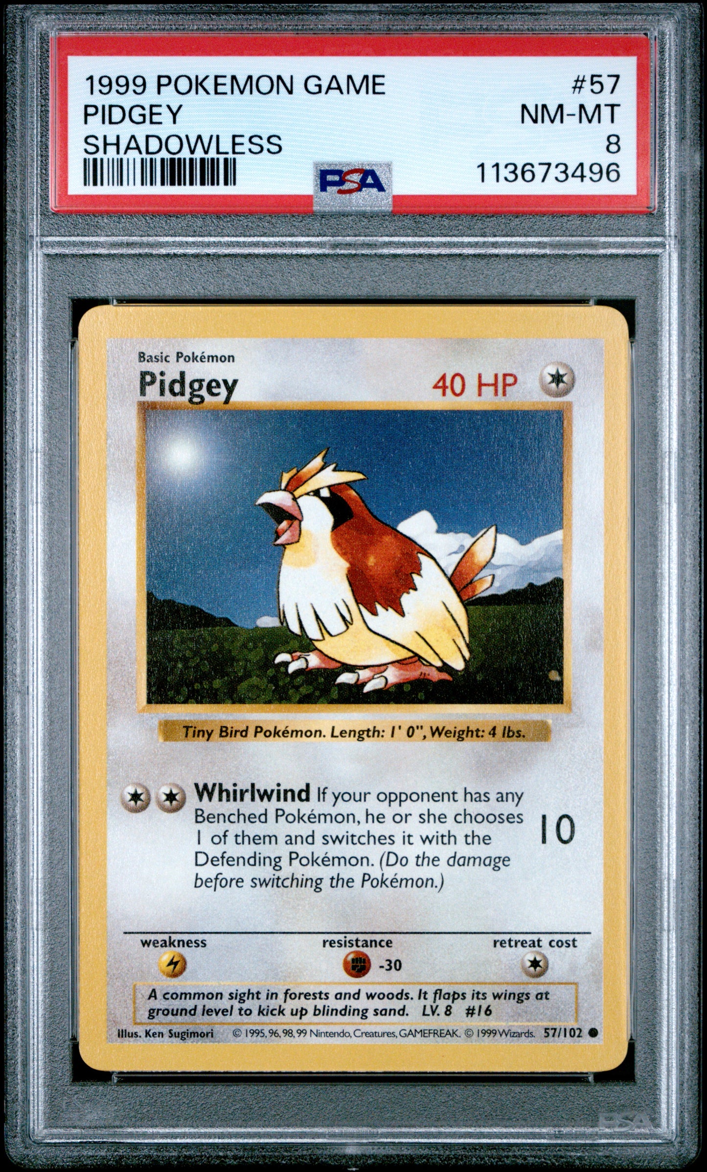 PIDGEY 57/102 [Shadowless]  POKEMON GAME SHADOWLESS PSA8 NM-MT 8 PSA population 130 <a href=https://www.psacard.com/cert/113673496/psa>https://www.psacard.com/cert/113673496/psa</a>