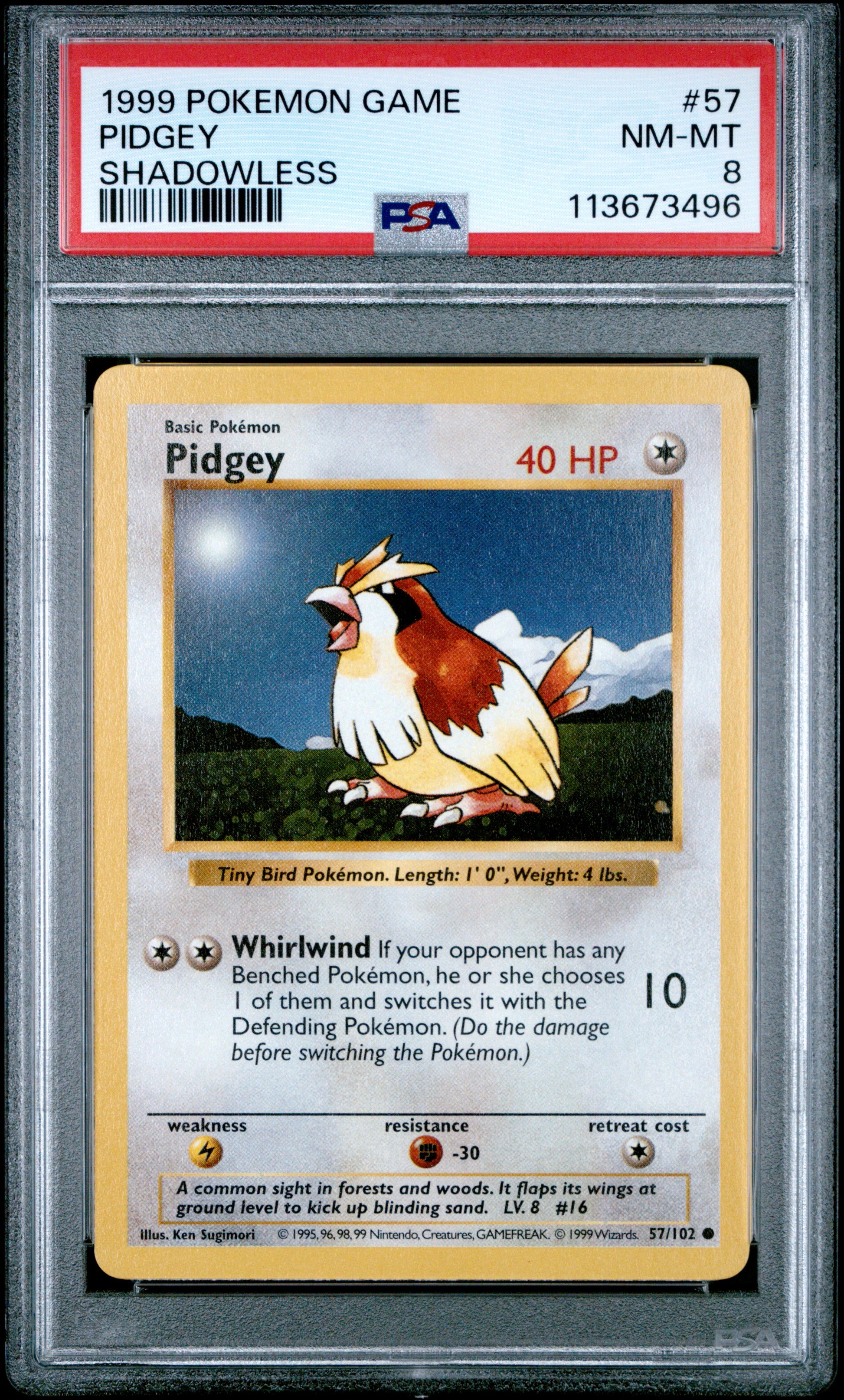 PIDGEY 57/102 [Shadowless]  POKEMON GAME SHADOWLESS PSA8 NM-MT 8 PSA population 130 <a href=https://www.psacard.com/cert/113673496/psa>https://www.psacard.com/cert/113673496/psa</a>