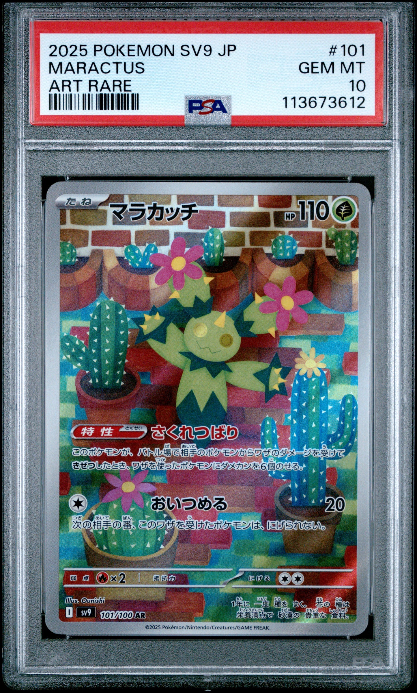 MARACTUS 101/100 Common POKEMON JAPANESE SV9-BATTLE PARTNERS ART RARE PSA10 GEM MT 10 PSA population 1125 <a href=https://www.psacard.com/cert/113673612/psa>https://www.psacard.com/cert/113673612/psa</a>