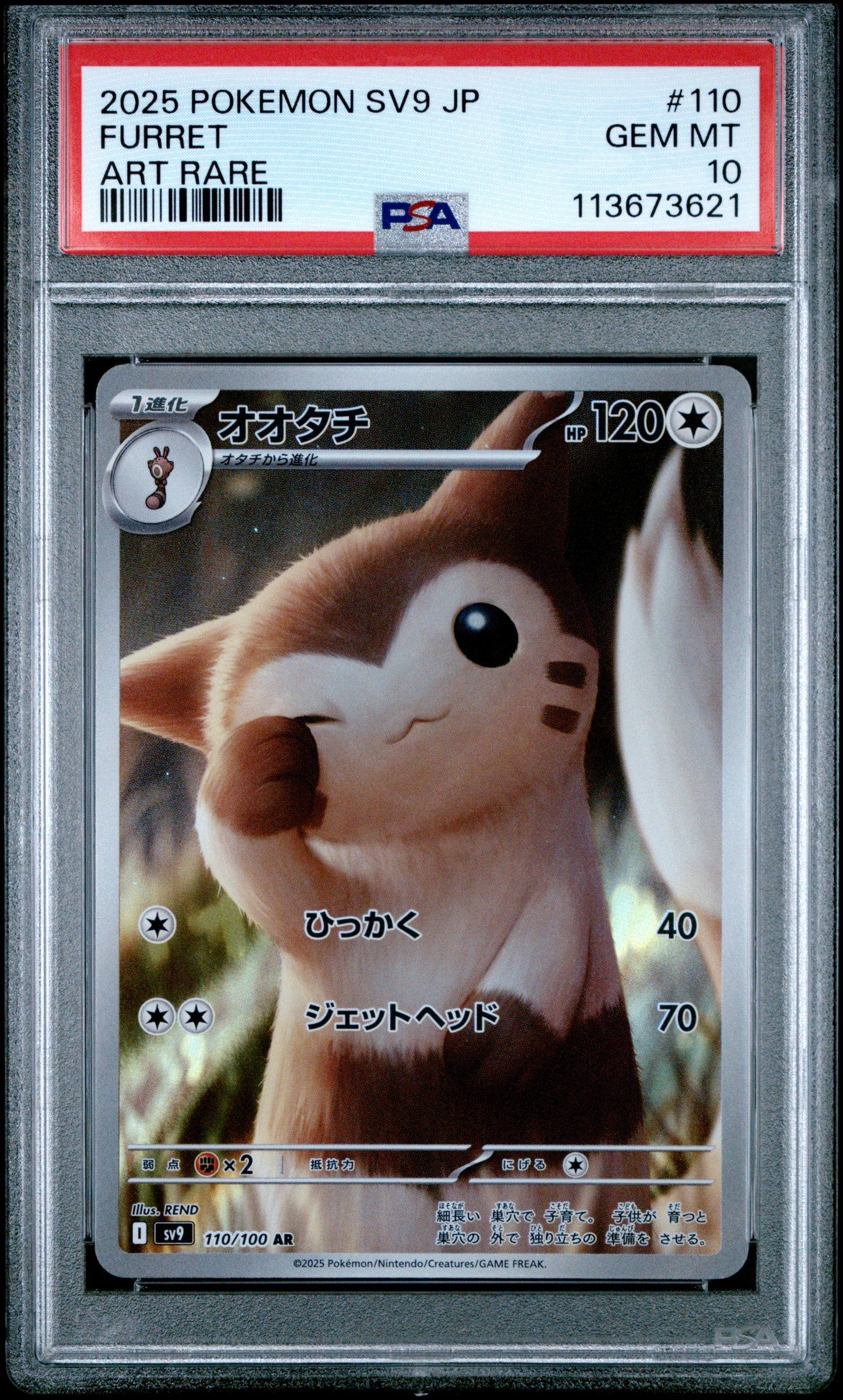FURRET 110/100 Common POKEMON JAPANESE SV9-BATTLE PARTNERS ART RARE PSA10 GEM MT 10 PSA population 2197 <a href=https://www.psacard.com/cert/113673621/psa>https://www.psacard.com/cert/113673621/psa</a>