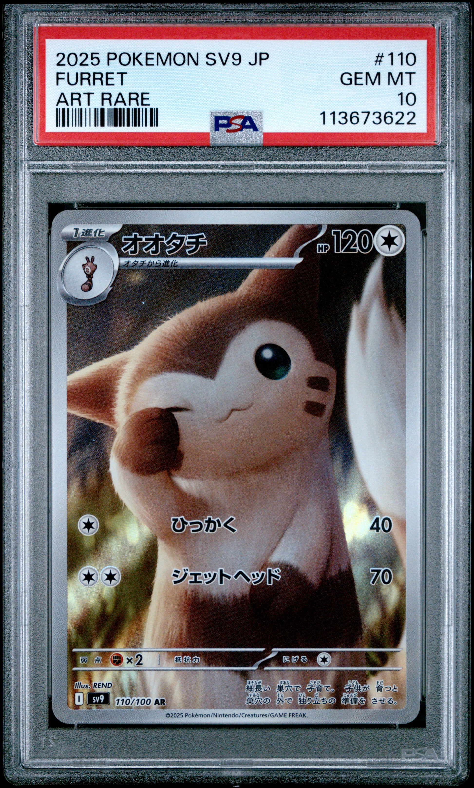 FURRET 110/100 Common POKEMON JAPANESE SV9-BATTLE PARTNERS ART RARE PSA10 GEM MT 10 PSA population 2197 <a href=https://www.psacard.com/cert/113673622/psa>https://www.psacard.com/cert/113673622/psa</a>