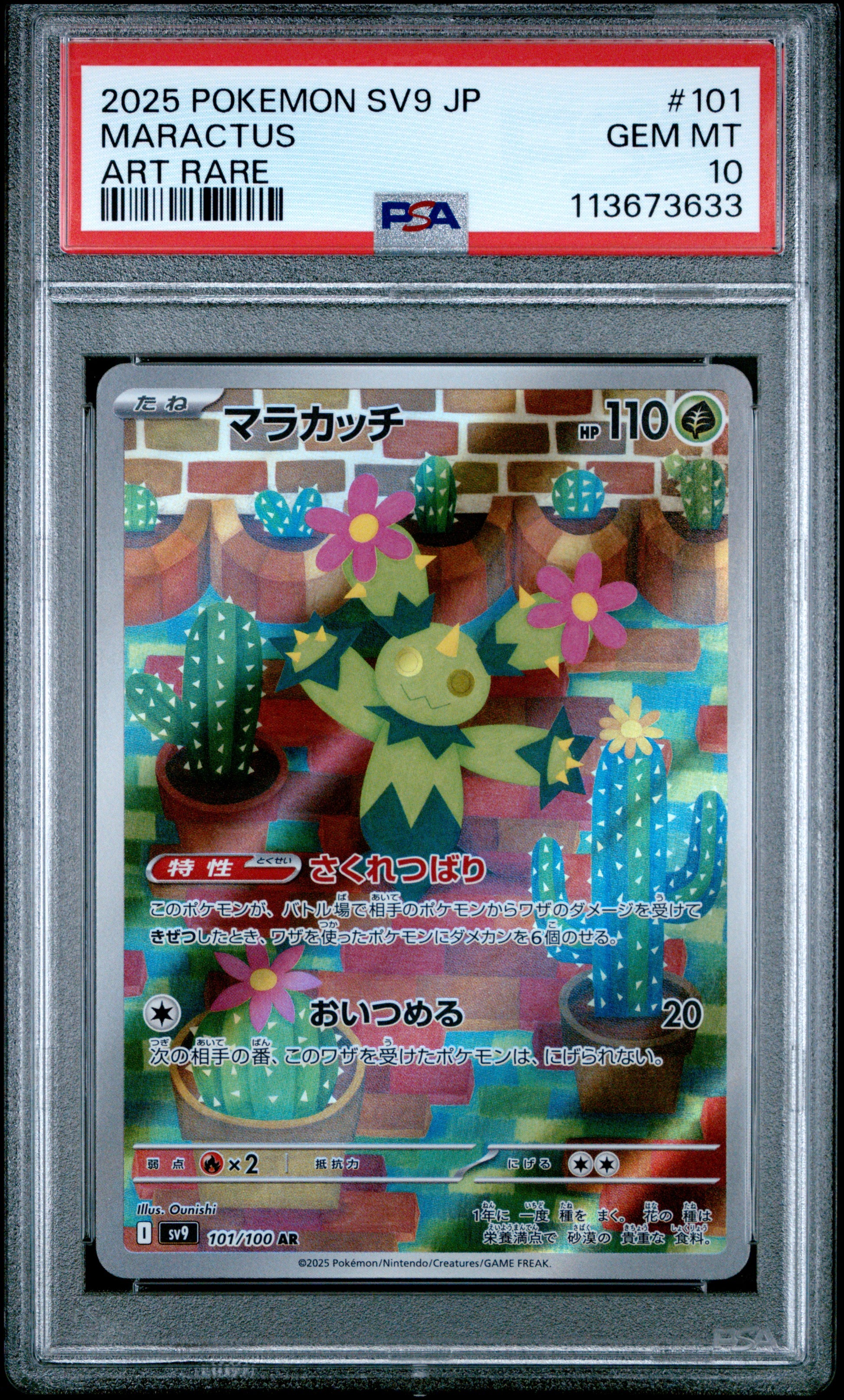 MARACTUS 101/100 Common POKEMON JAPANESE SV9-BATTLE PARTNERS ART RARE PSA10 GEM MT 10 PSA population 1125 <a href=https://www.psacard.com/cert/113673633/psa>https://www.psacard.com/cert/113673633/psa</a>