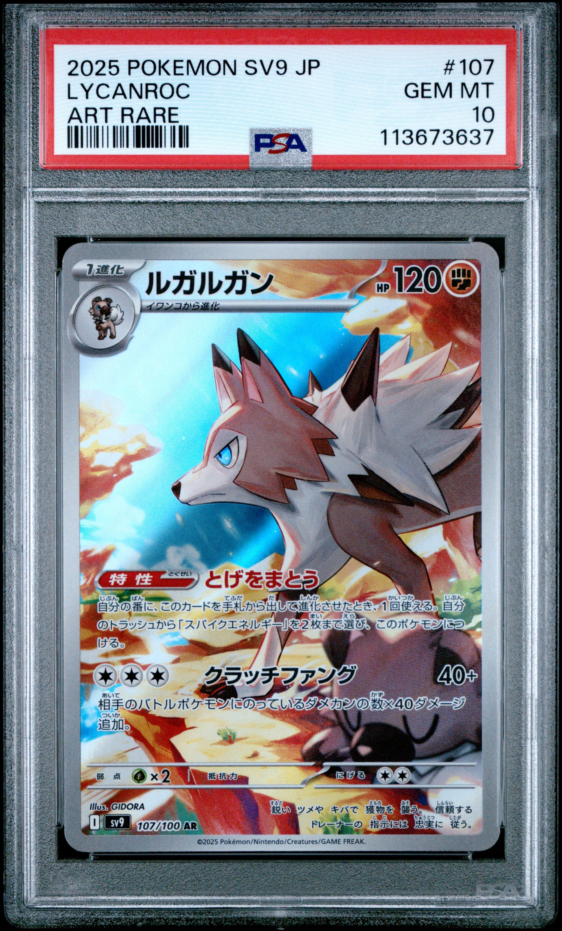 LYCANROC 107/100 Common POKEMON JAPANESE SV9-BATTLE PARTNERS ART RARE PSA10 GEM MT 10 PSA population 1289 <a href=https://www.psacard.com/cert/113673637/psa>https://www.psacard.com/cert/113673637/psa</a>