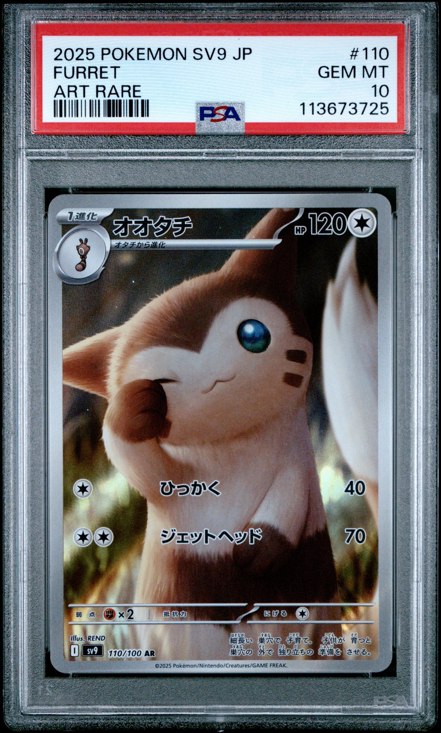 FURRET 110/100 Common POKEMON JAPANESE SV9-BATTLE PARTNERS ART RARE PSA10 GEM MT 10 PSA population 2197 <a href=https://www.psacard.com/cert/113673725/psa>https://www.psacard.com/cert/113673725/psa</a>