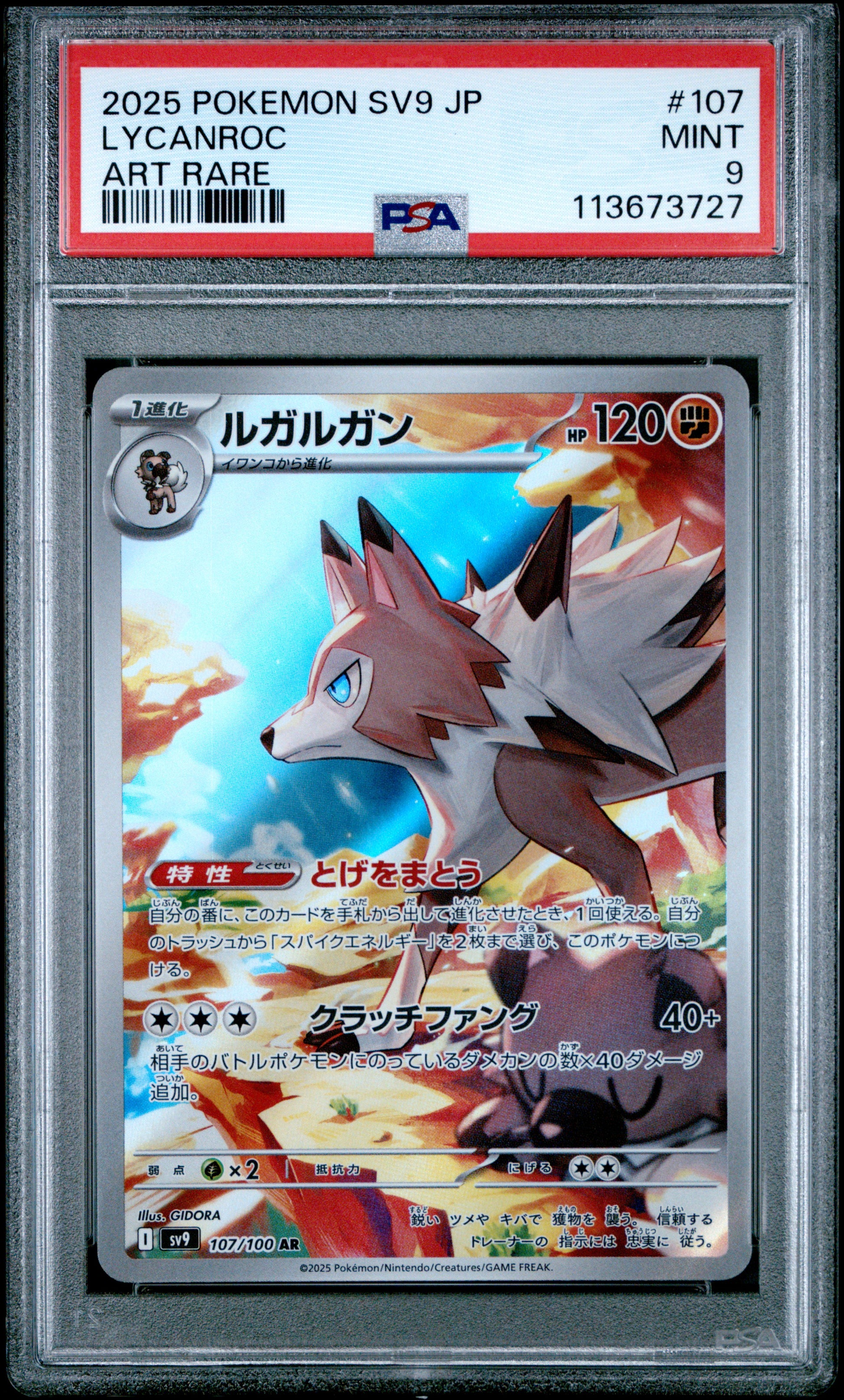 LYCANROC 107/100 Common POKEMON JAPANESE SV9-BATTLE PARTNERS ART RARE PSA9 MINT 9 PSA population 187 <a href=https://www.psacard.com/cert/113673727/psa>https://www.psacard.com/cert/113673727/psa</a>