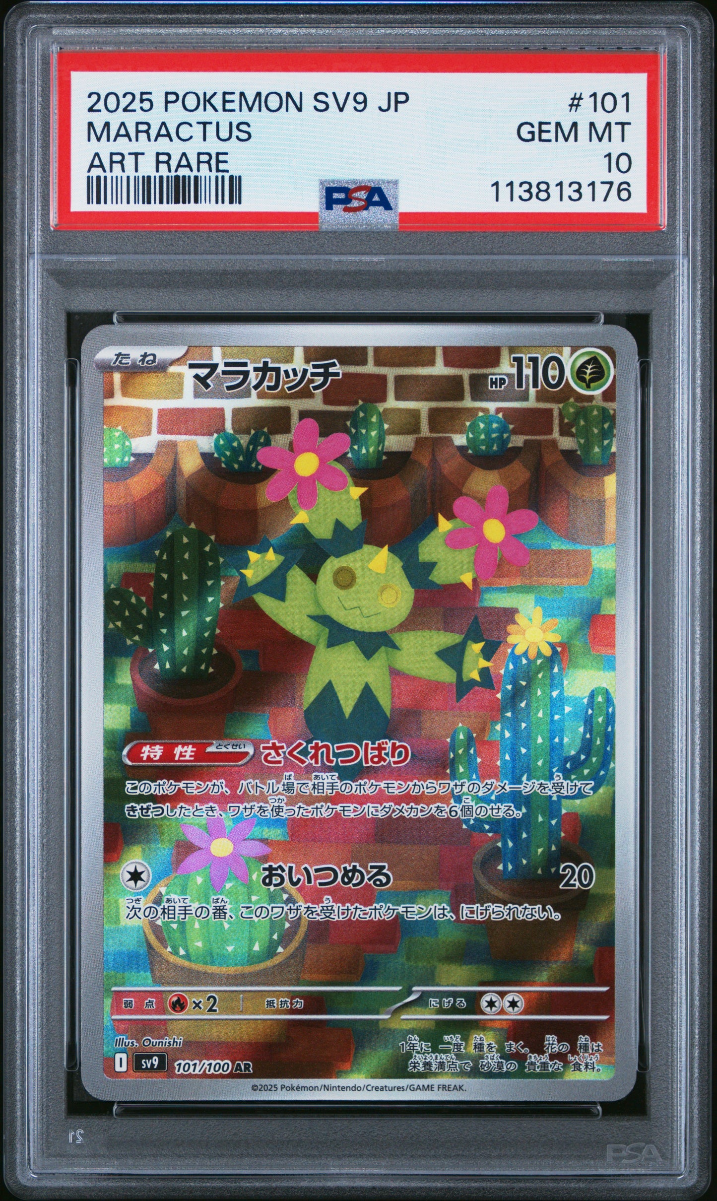 MARACTUS 101/100 Common POKEMON JAPANESE SV9-BATTLE PARTNERS ART RARE PSA10 GEM MT 10 PSA population 1125 <a href=https://www.psacard.com/cert/113813176/psa>https://www.psacard.com/cert/113813176/psa</a>