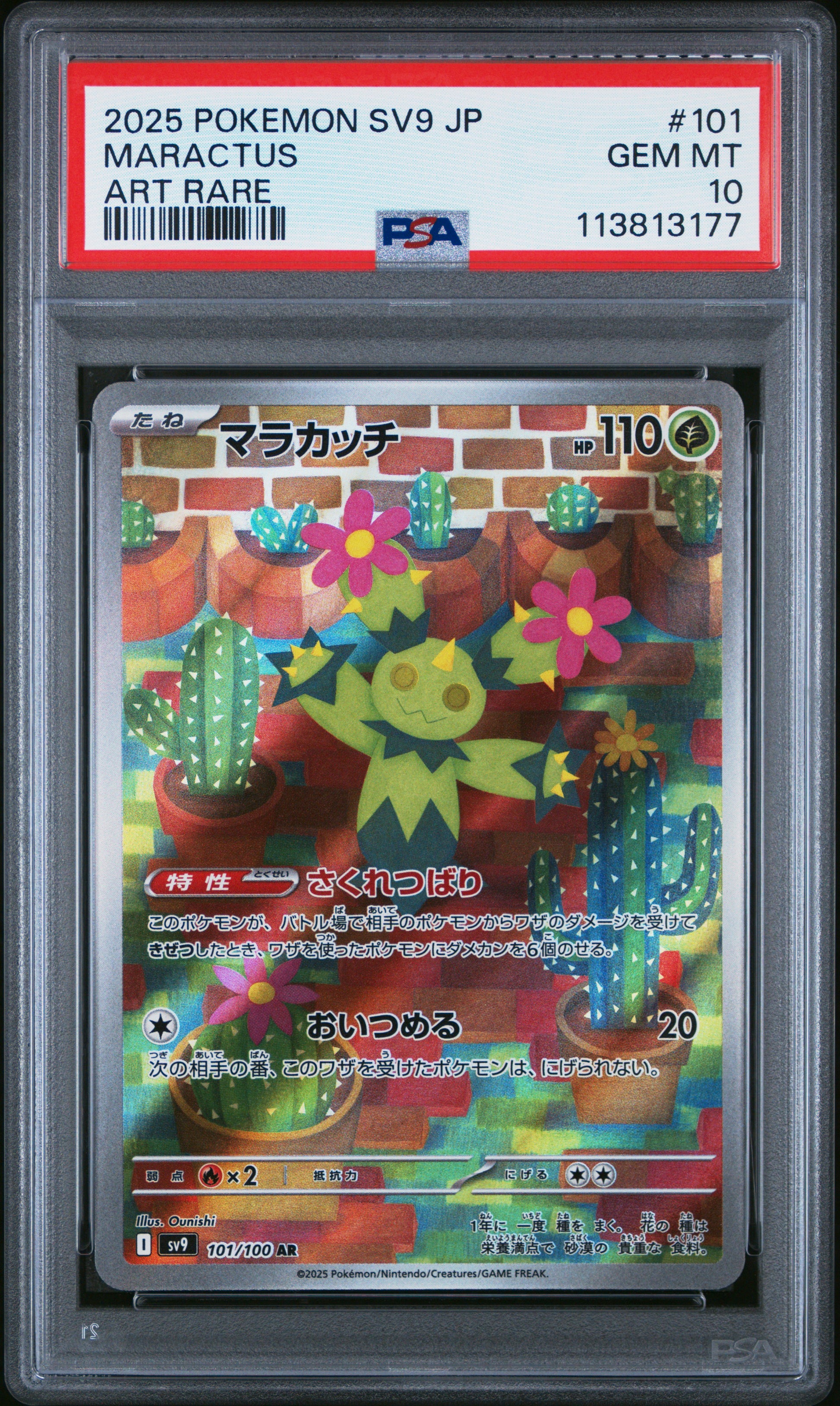 MARACTUS 101/100 Common POKEMON JAPANESE SV9-BATTLE PARTNERS ART RARE PSA10 GEM MT 10 PSA population 1125 <a href=https://www.psacard.com/cert/113813177/psa>https://www.psacard.com/cert/113813177/psa</a>
