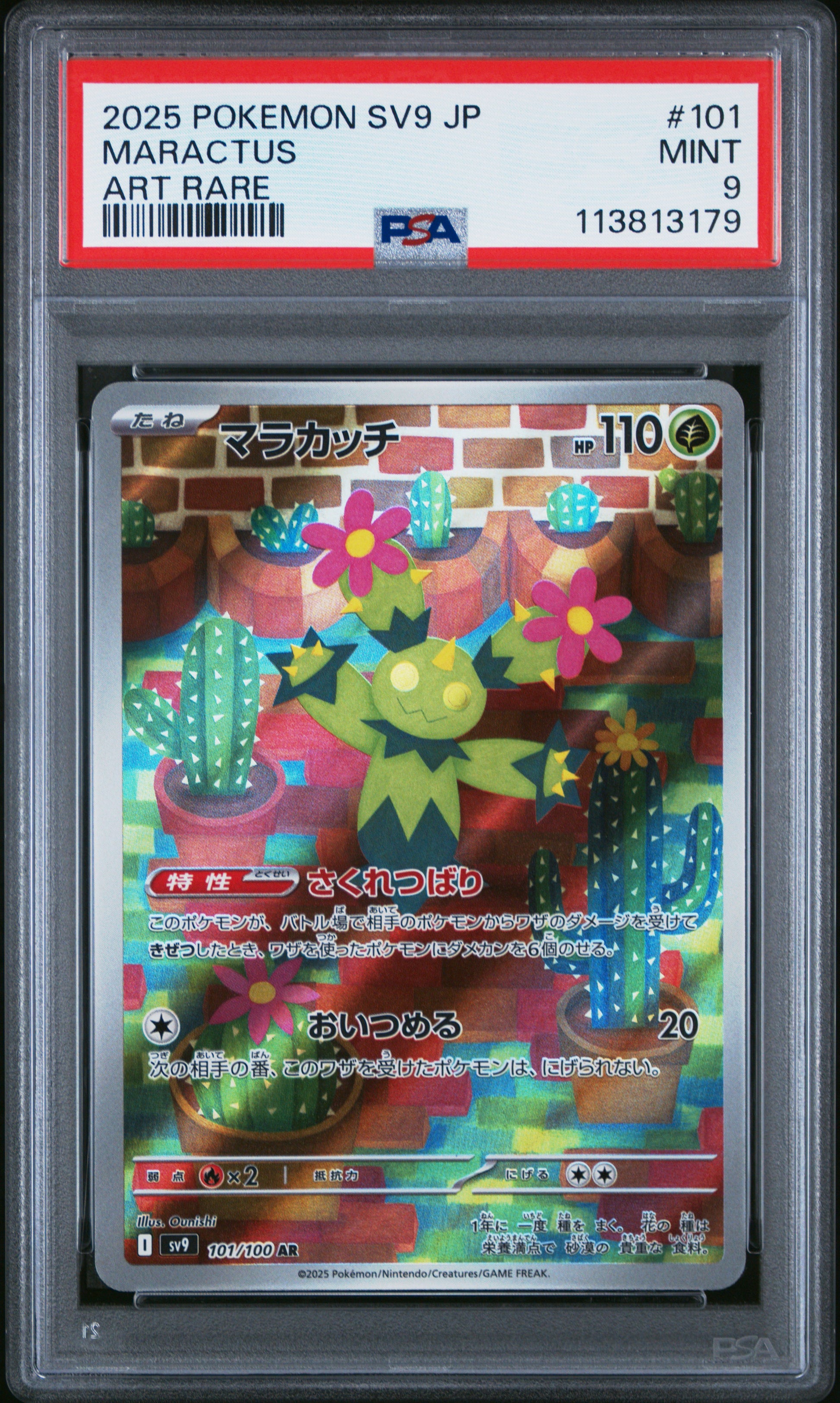 MARACTUS 101/100 Common POKEMON JAPANESE SV9-BATTLE PARTNERS ART RARE PSA9 MINT 9 PSA population 111 <a href=https://www.psacard.com/cert/113813179/psa>https://www.psacard.com/cert/113813179/psa</a>
