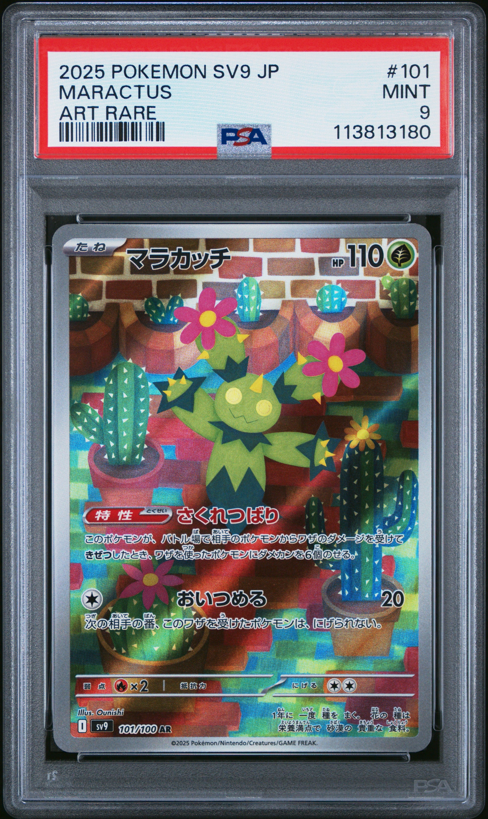 MARACTUS 101/100 Common POKEMON JAPANESE SV9-BATTLE PARTNERS ART RARE PSA9 MINT 9 PSA population 111 <a href=https://www.psacard.com/cert/113813180/psa>https://www.psacard.com/cert/113813180/psa</a>