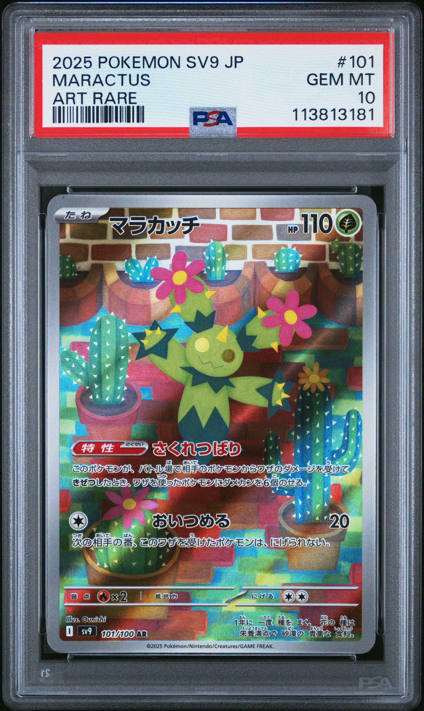 MARACTUS 101/100 Common POKEMON JAPANESE SV9-BATTLE PARTNERS ART RARE PSA10 GEM MT 10 PSA population 1125 <a href=https://www.psacard.com/cert/113813181/psa>https://www.psacard.com/cert/113813181/psa</a>