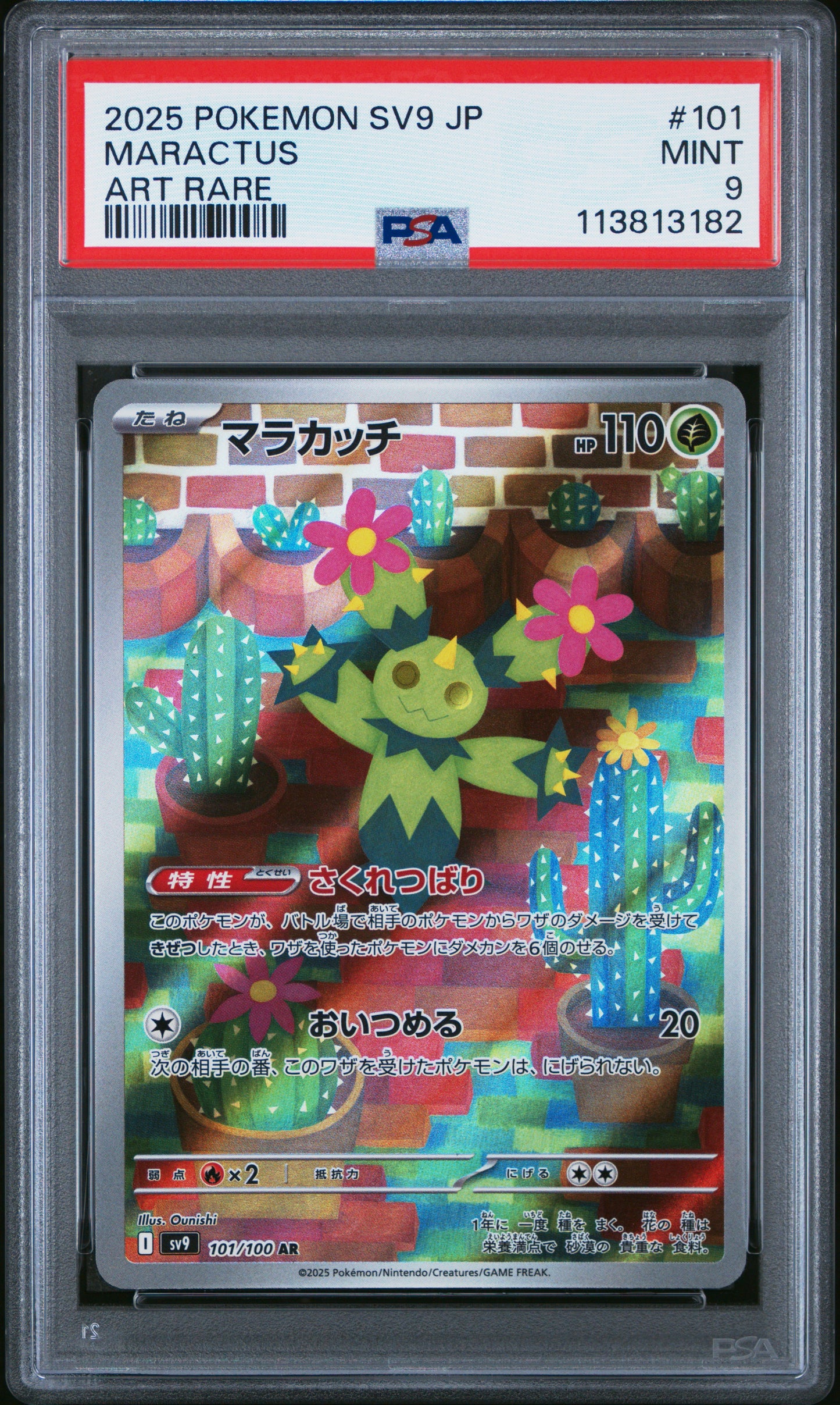MARACTUS 101/100 Common POKEMON JAPANESE SV9-BATTLE PARTNERS ART RARE PSA9 MINT 9 PSA population 111 <a href=https://www.psacard.com/cert/113813182/psa>https://www.psacard.com/cert/113813182/psa</a>