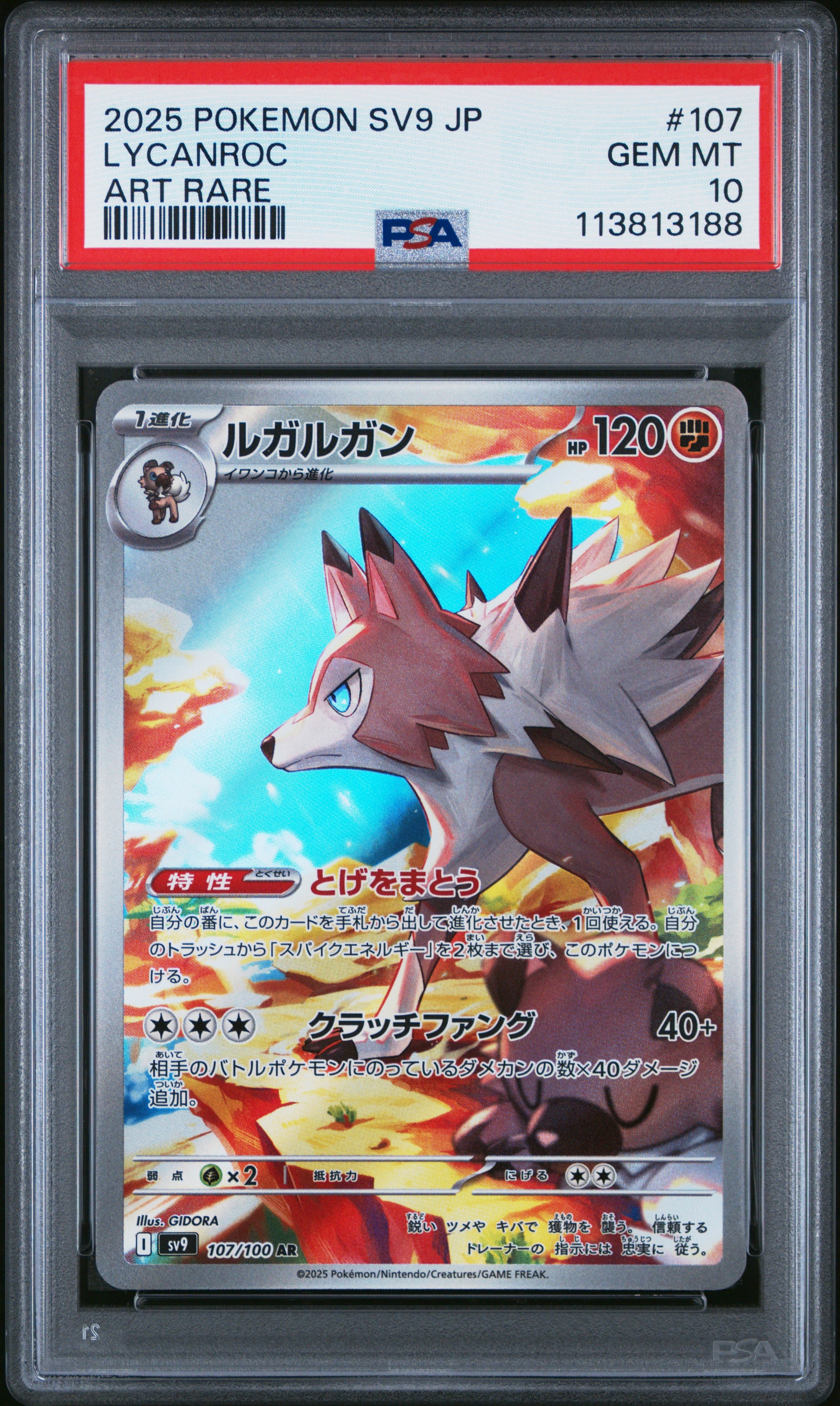 LYCANROC 107/100 Common POKEMON JAPANESE SV9-BATTLE PARTNERS ART RARE PSA10 GEM MT 10 PSA population 1289 <a href=https://www.psacard.com/cert/113813188/psa>https://www.psacard.com/cert/113813188/psa</a>