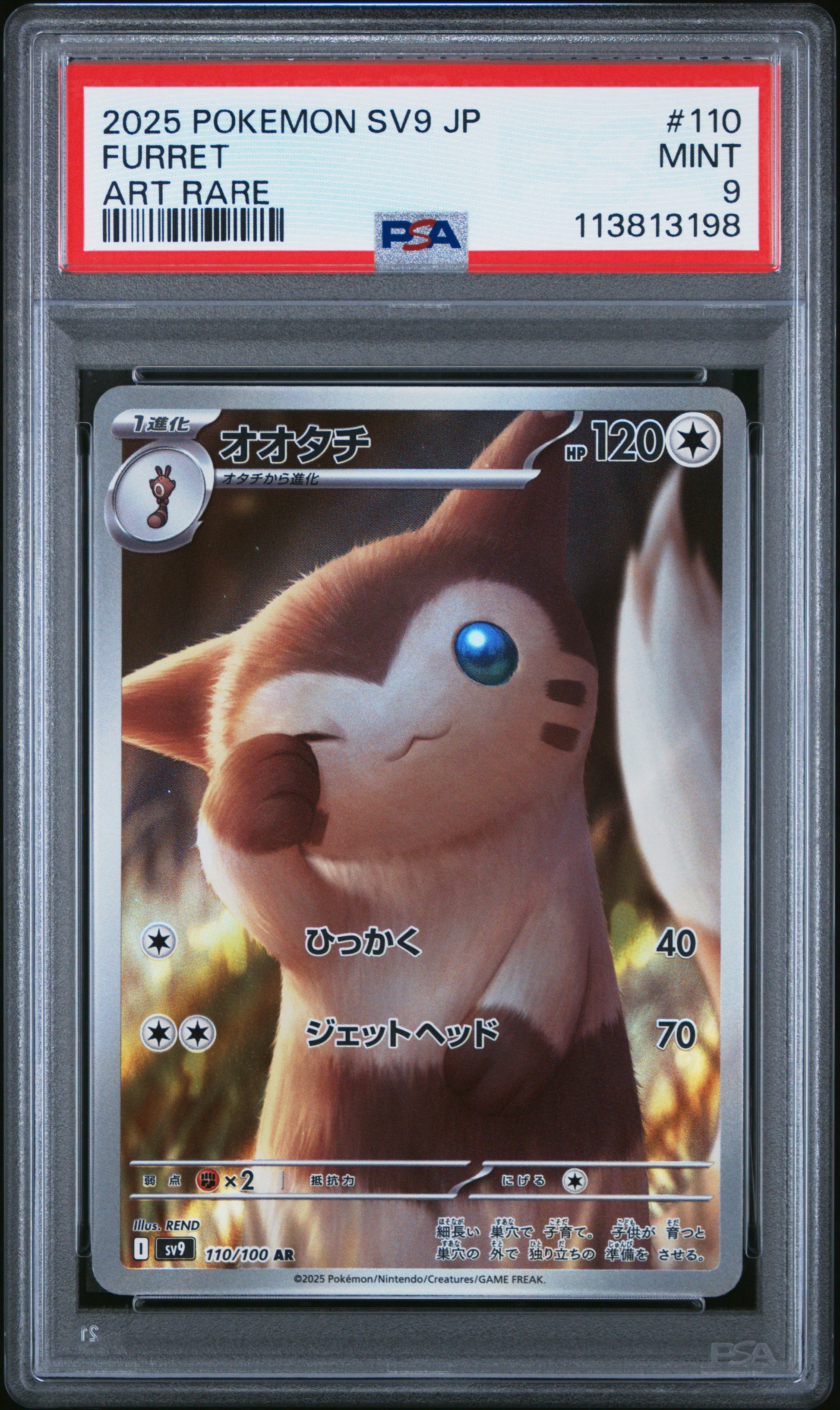FURRET 110/100 Common POKEMON JAPANESE SV9-BATTLE PARTNERS ART RARE PSA9 MINT 9 PSA population 231 <a href=https://www.psacard.com/cert/113813198/psa>https://www.psacard.com/cert/113813198/psa</a>