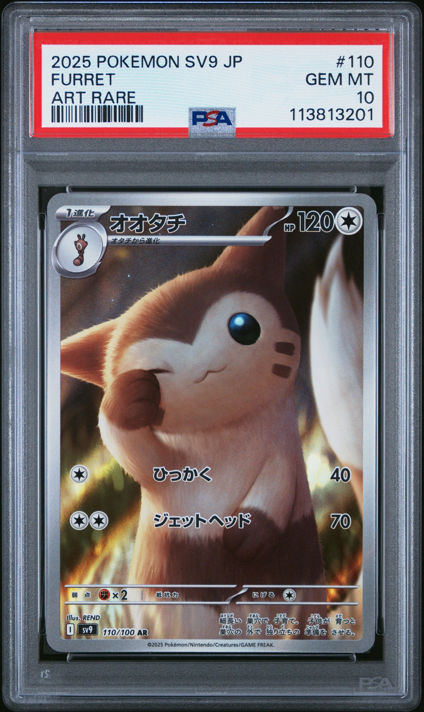 FURRET 110/100 Common POKEMON JAPANESE SV9-BATTLE PARTNERS ART RARE PSA10 GEM MT 10 PSA population 2197 <a href=https://www.psacard.com/cert/113813201/psa>https://www.psacard.com/cert/113813201/psa</a>