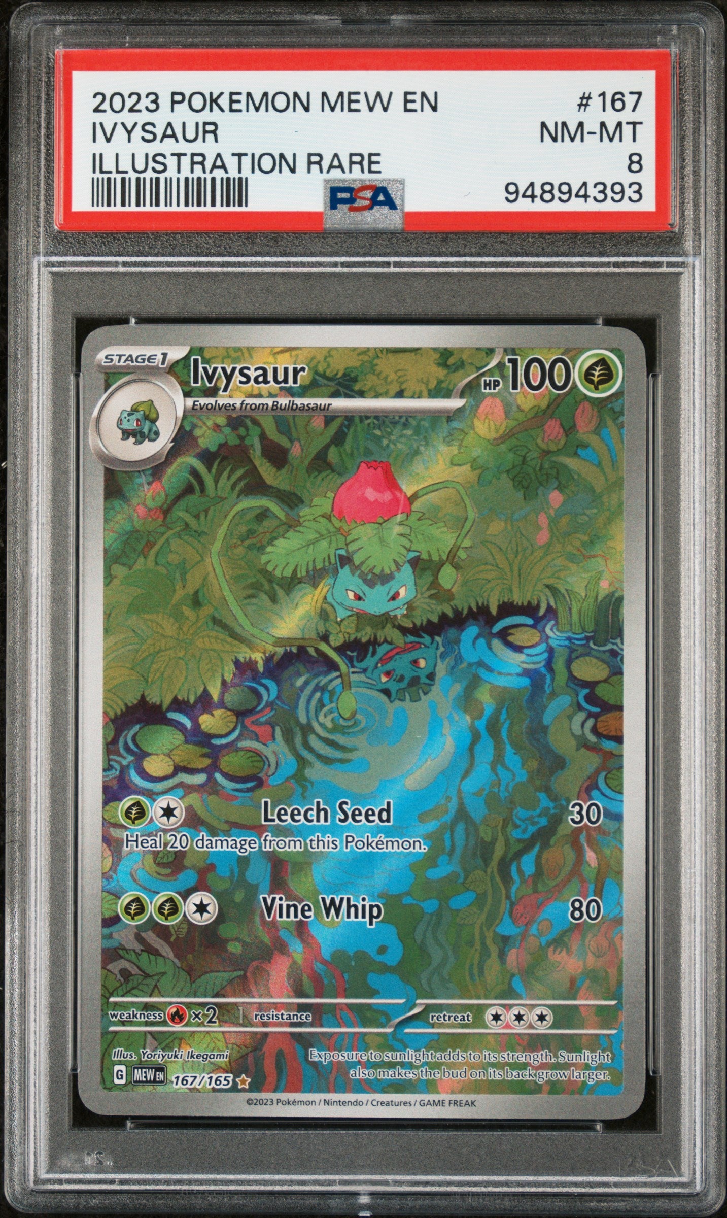 IVYSAUR 167/165 Common POKEMON MEW EN-151 ILLUSTRATION RARE PSA8 NM-MT 8 PSA population 2464 <a href=https://www.psacard.com/cert/94894393/psa>https://www.psacard.com/cert/94894393/psa</a>